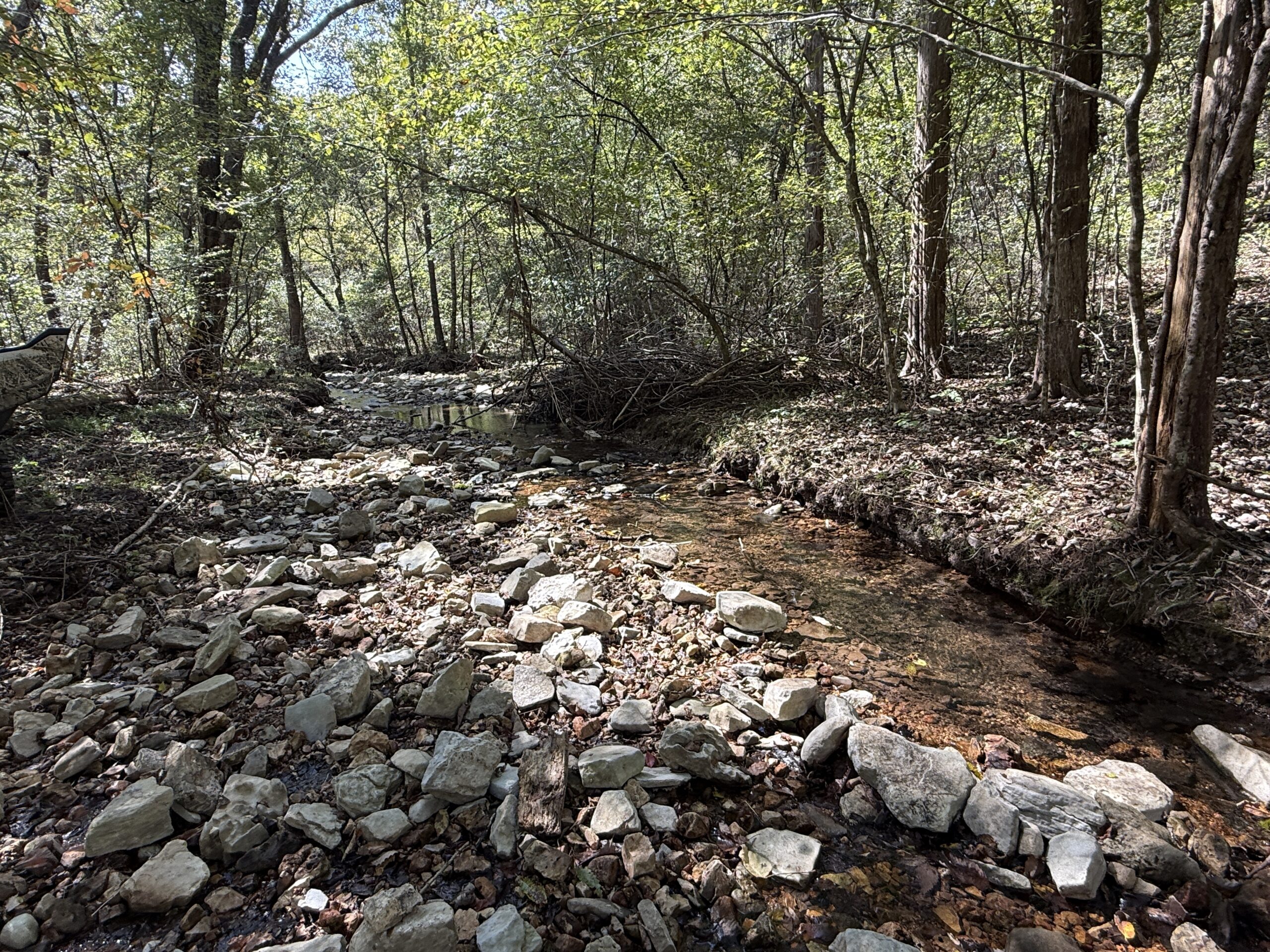 HUNTING FOREST LAND FOR SALE IN OZARK MOUNTAINS OF ARKANSAS