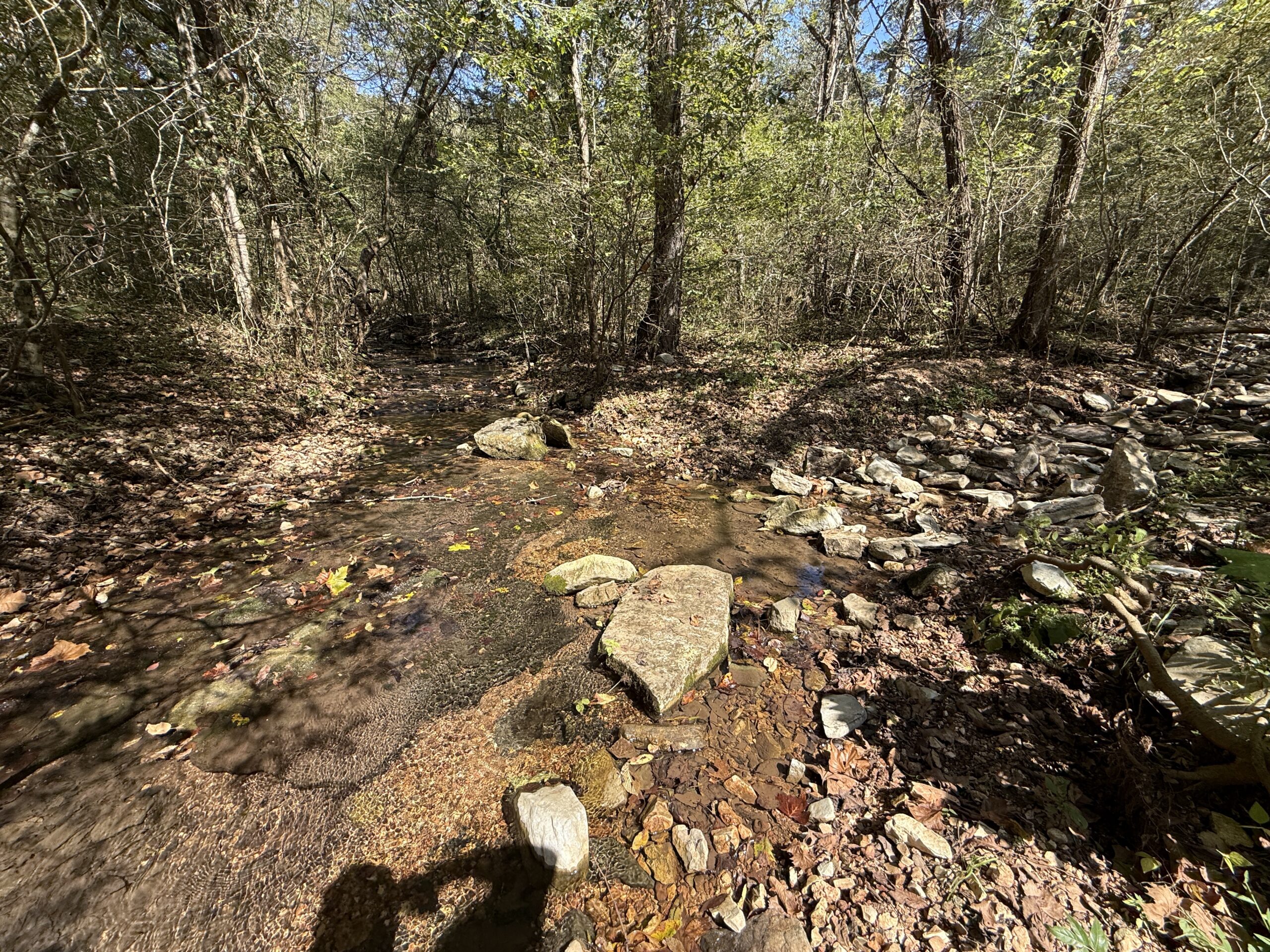 HUNTING FOREST LAND FOR SALE IN OZARK MOUNTAINS OF ARKANSAS