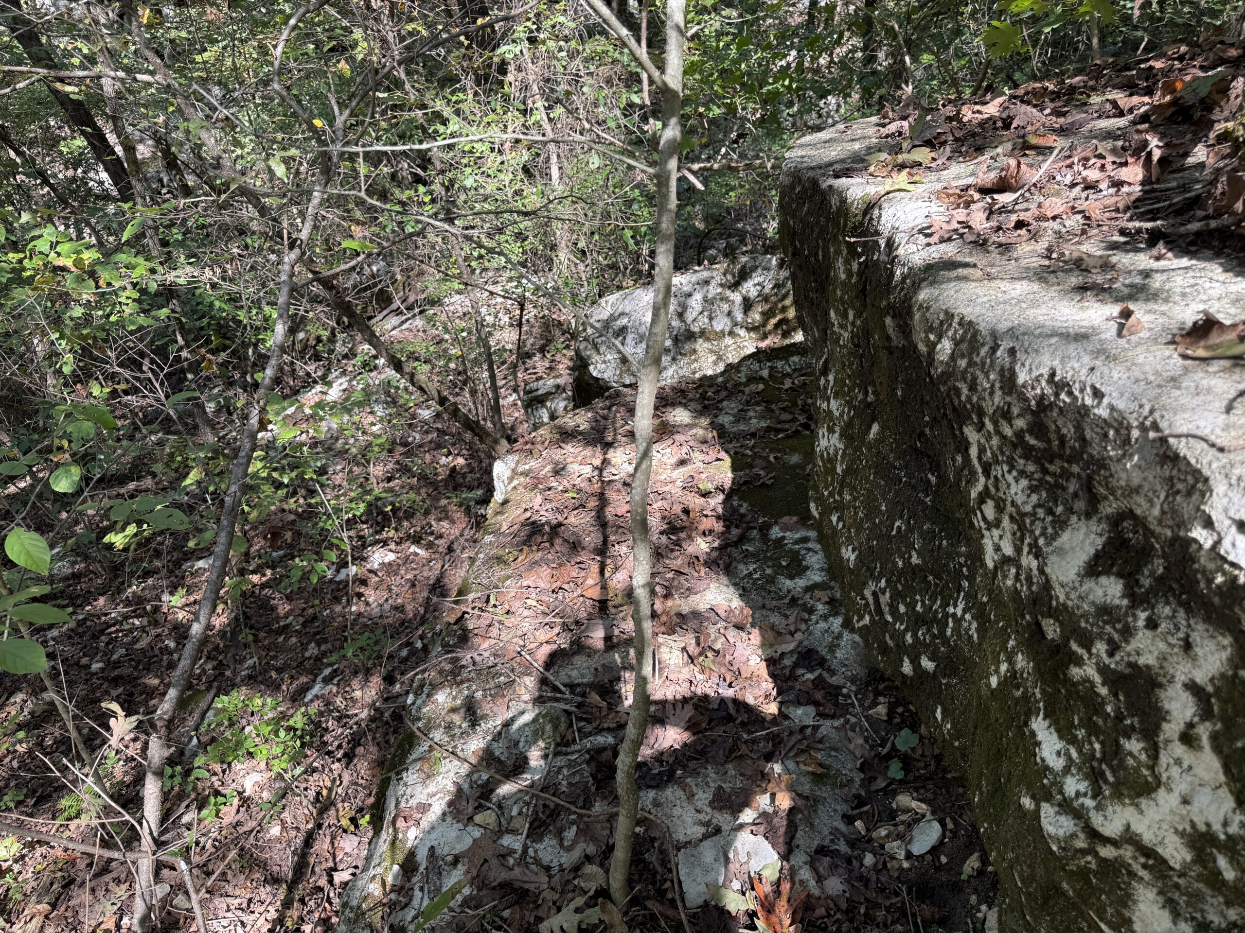 HUNTING FOREST LAND FOR SALE IN OZARK MOUNTAINS OF ARKANSAS