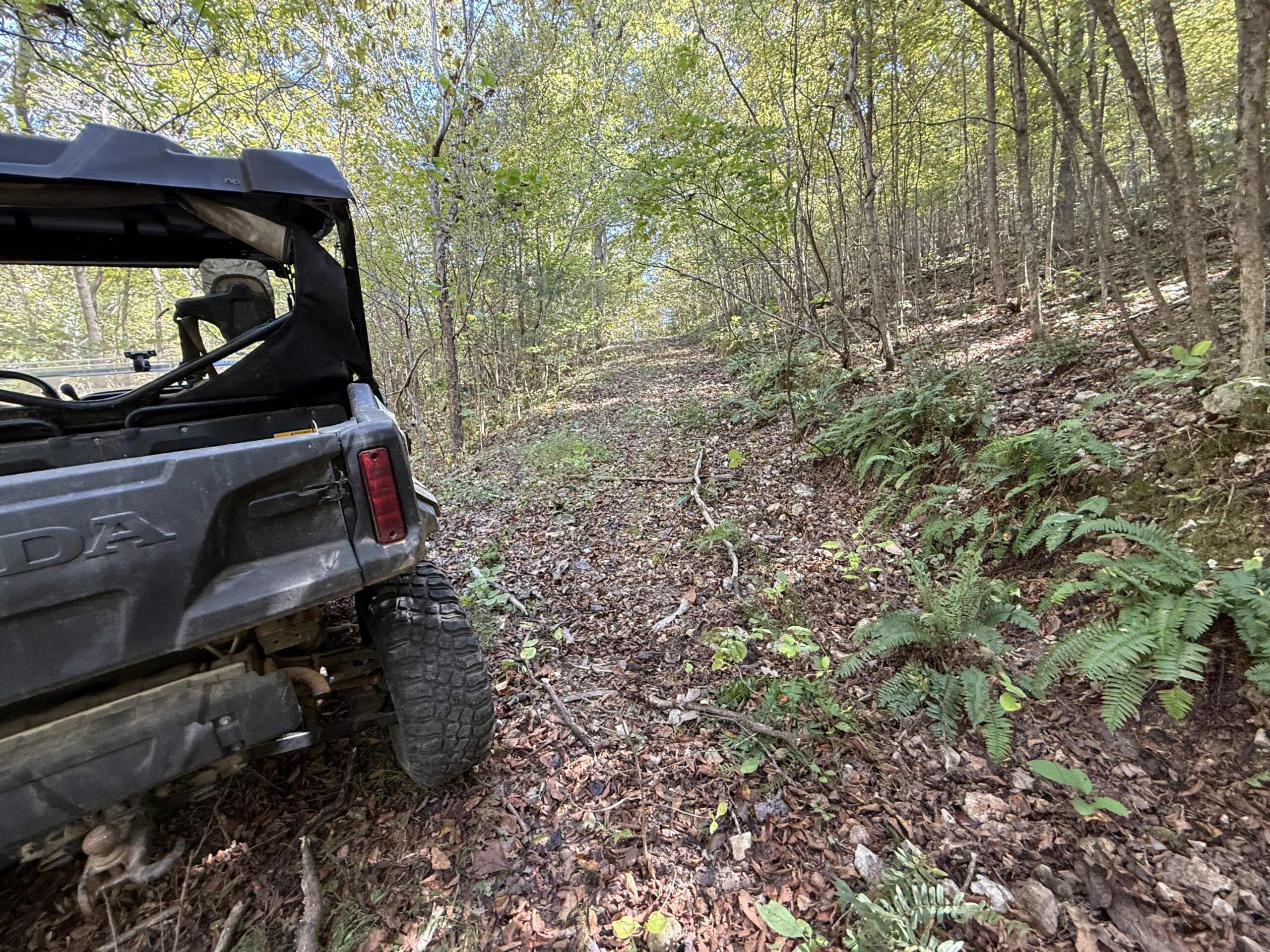 HUNTING FOREST LAND FOR SALE IN OZARK MOUNTAINS OF ARKANSAS