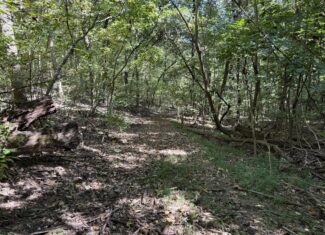 HUNTING AND RECREATIONAL LAND FOR SALE IN ARKANSAS