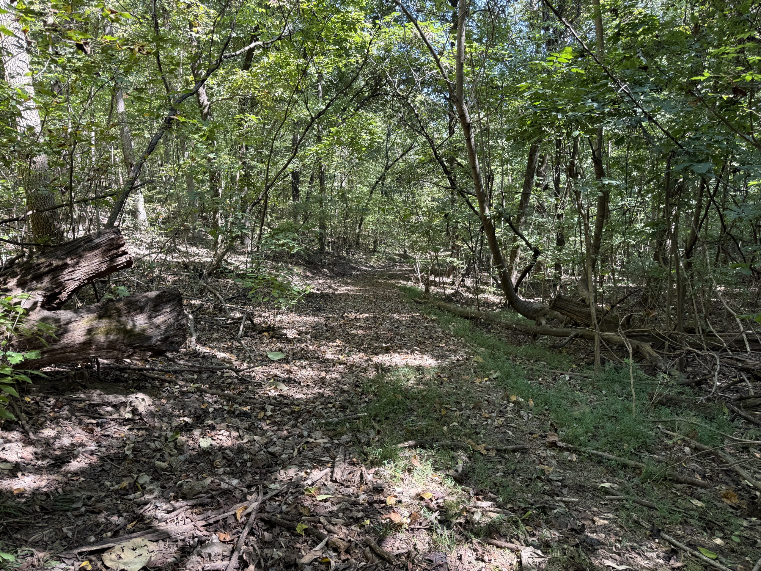 HUNTING AND RECREATIONAL LAND FOR SALE IN ARKANSAS