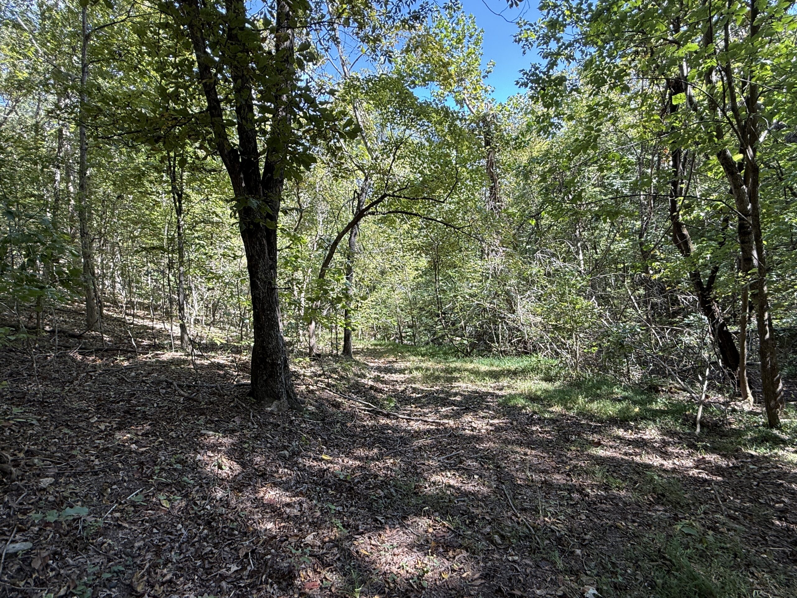 HUNTING AND RECREATIONAL LAND FOR SALE IN ARKANSAS