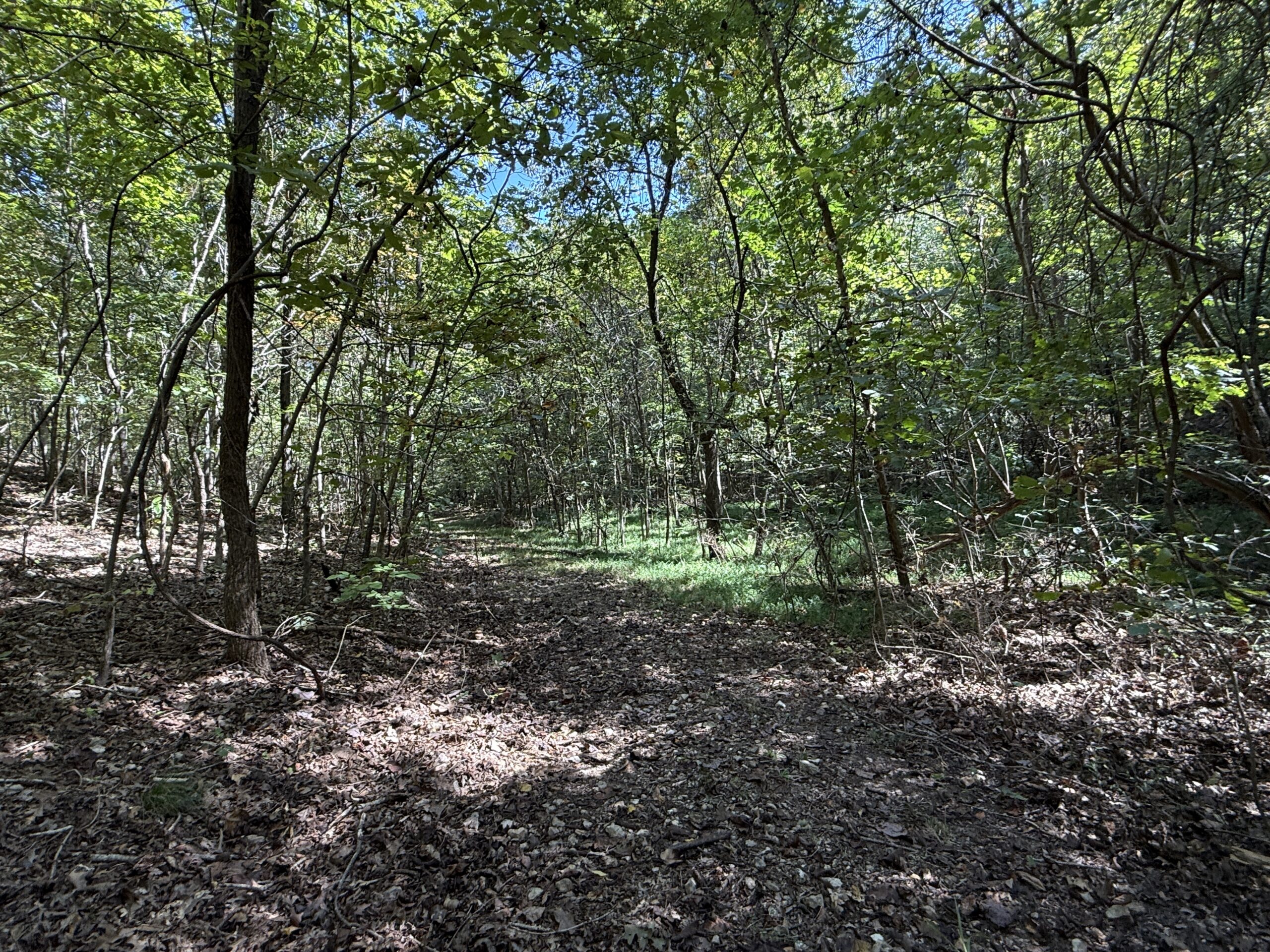 HUNTING AND RECREATIONAL LAND FOR SALE IN ARKANSAS