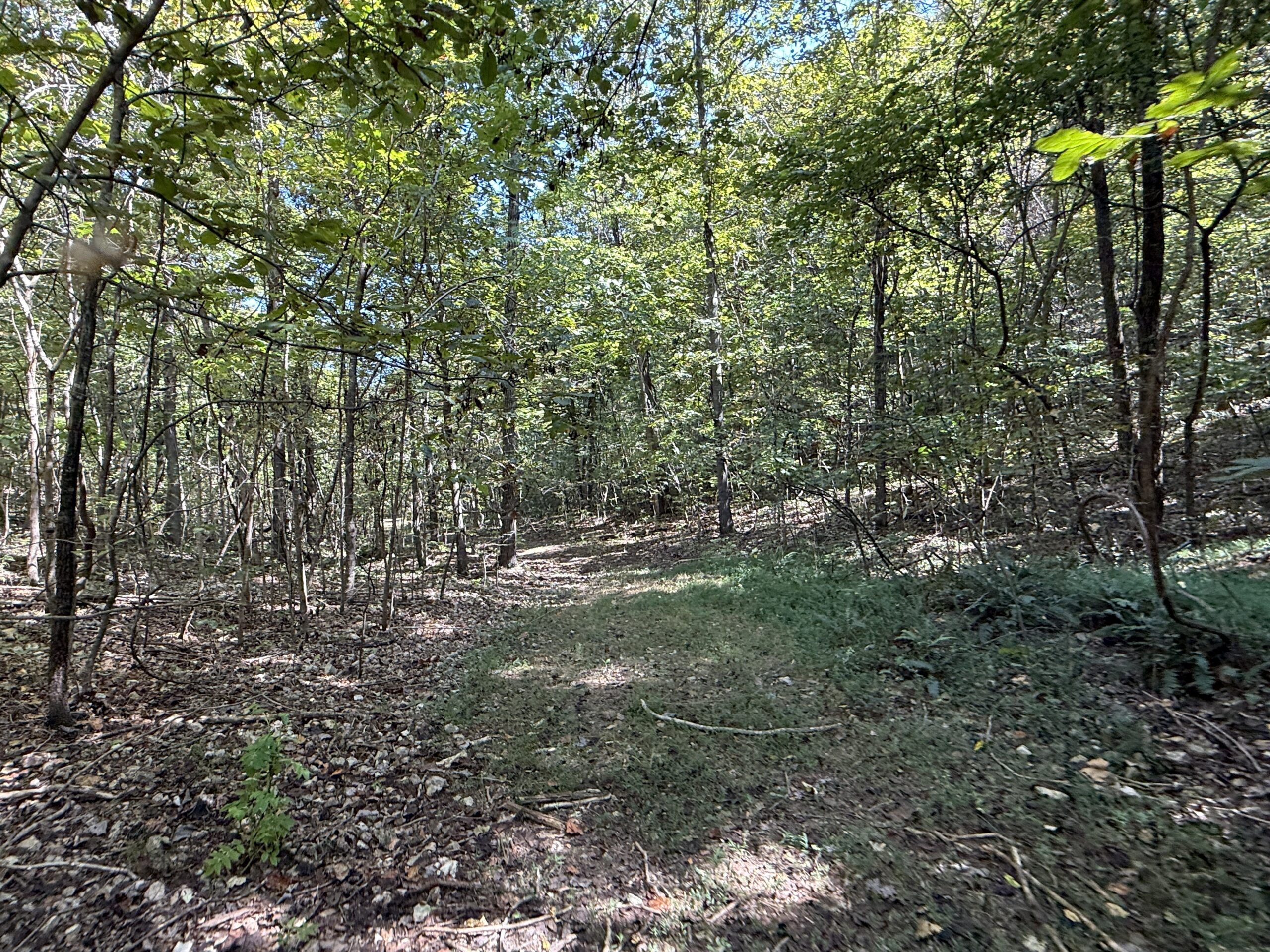 HUNTING AND RECREATIONAL LAND FOR SALE IN ARKANSAS