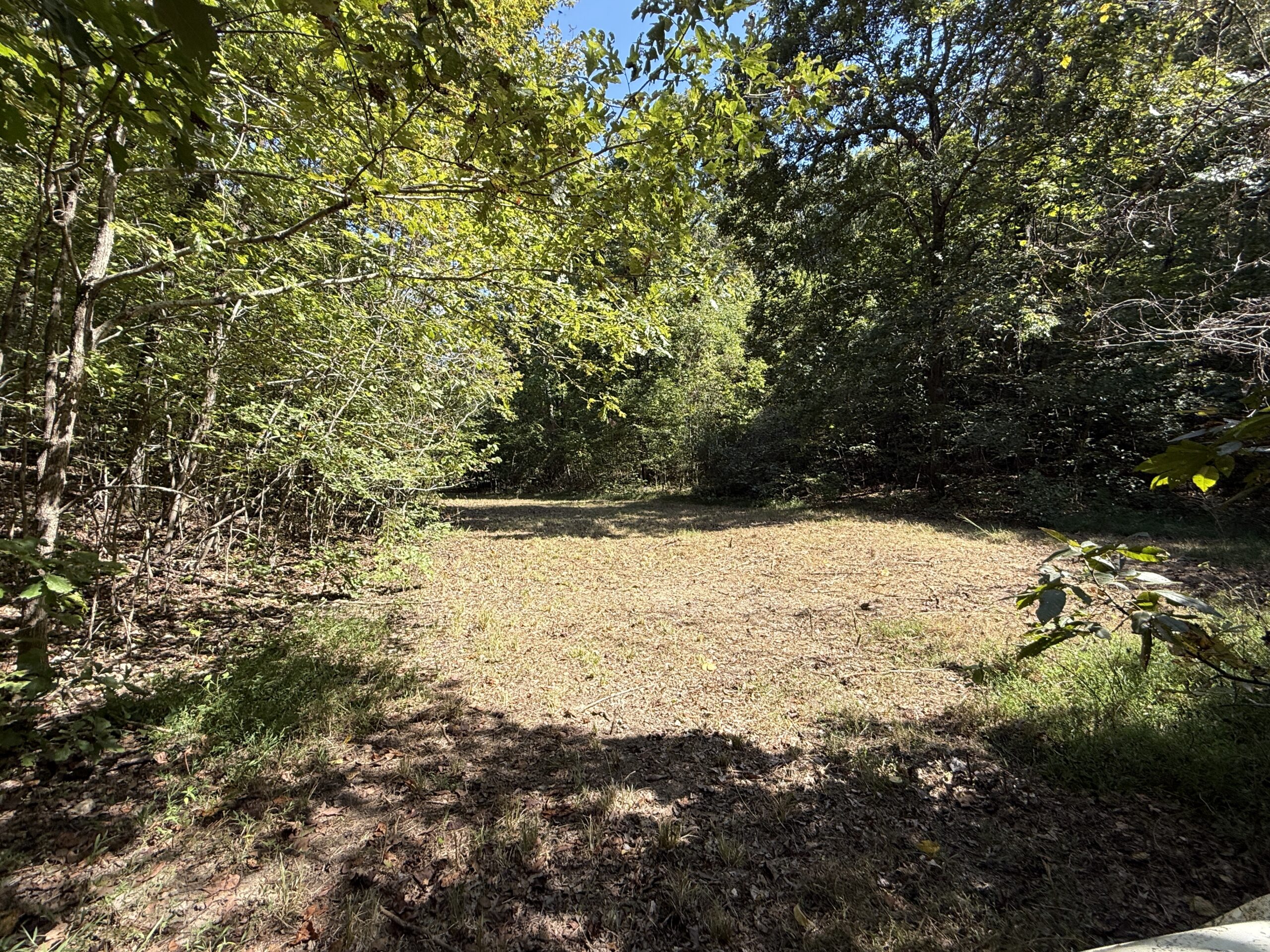 HUNTING AND RECREATIONAL LAND FOR SALE IN ARKANSAS