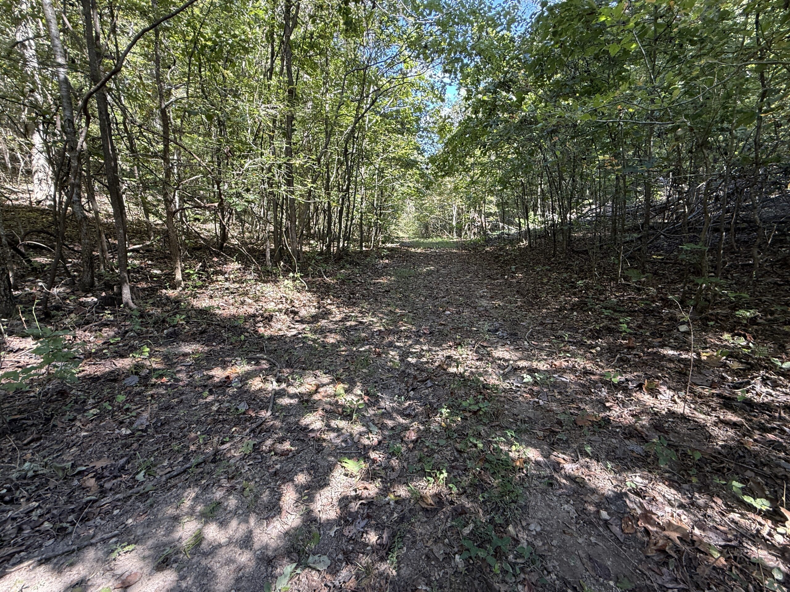 HUNTING AND RECREATIONAL LAND FOR SALE IN ARKANSAS