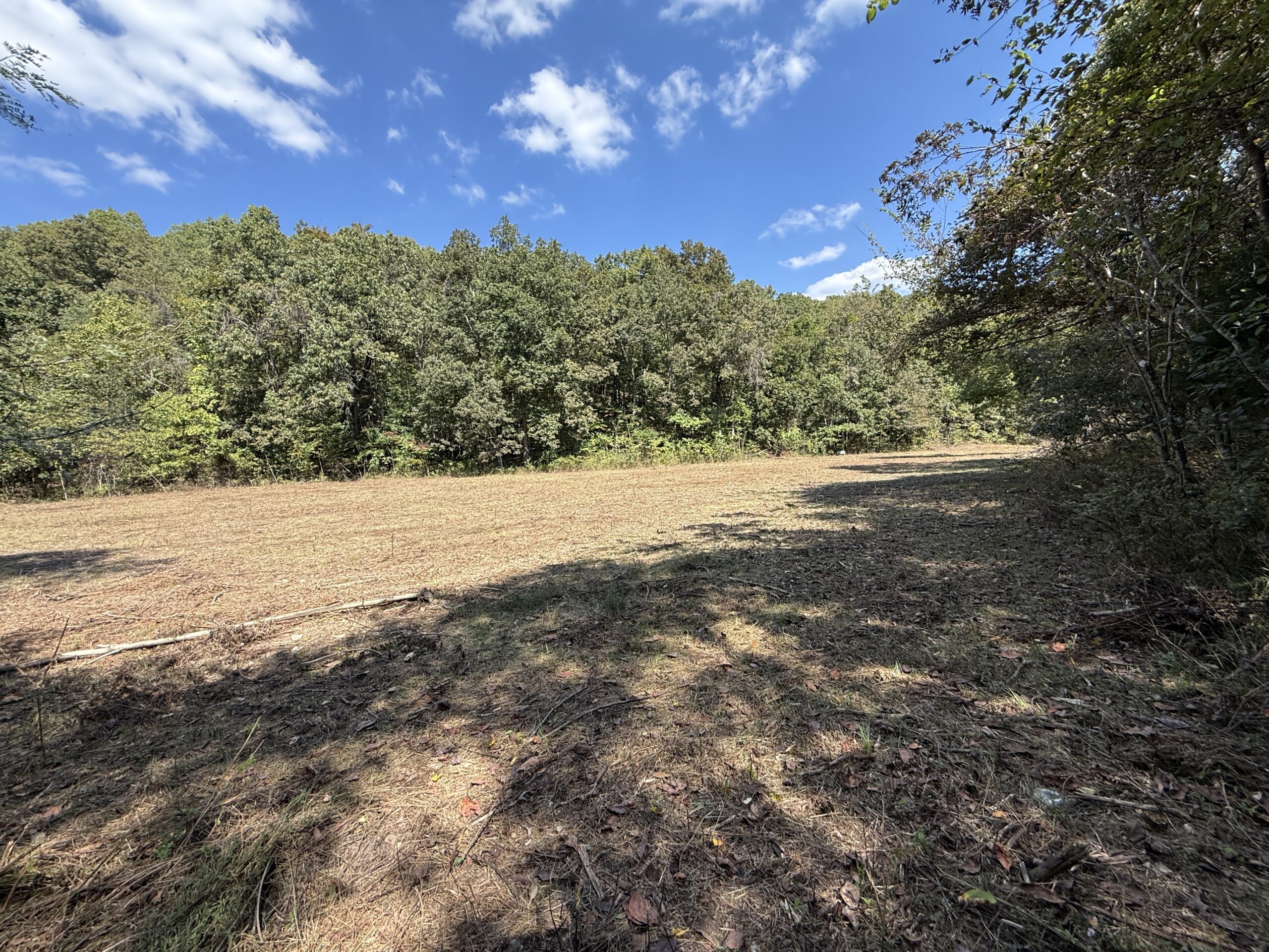 HUNTING AND RECREATIONAL LAND FOR SALE IN ARKANSAS