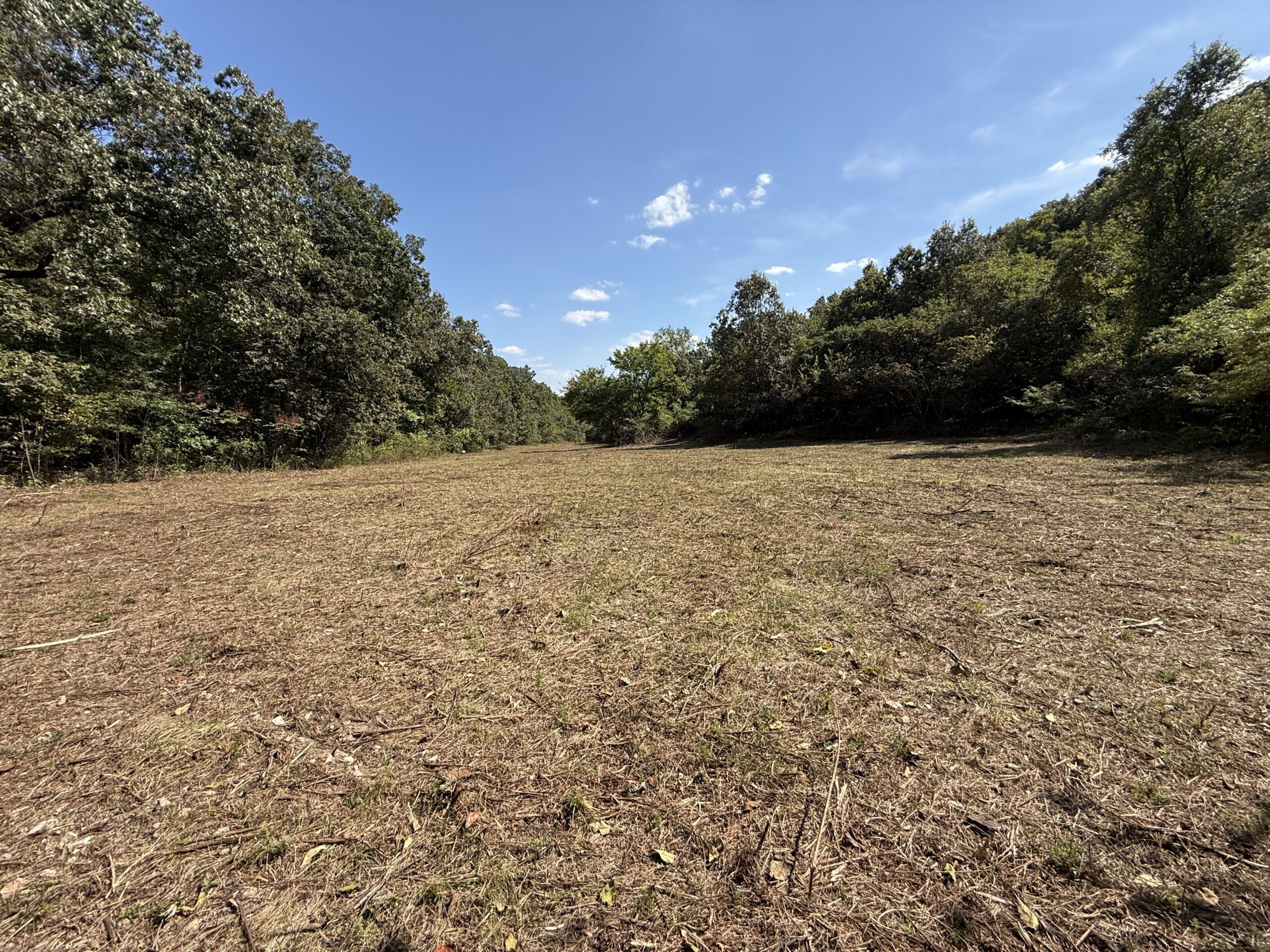 HUNTING AND RECREATIONAL LAND FOR SALE IN ARKANSAS