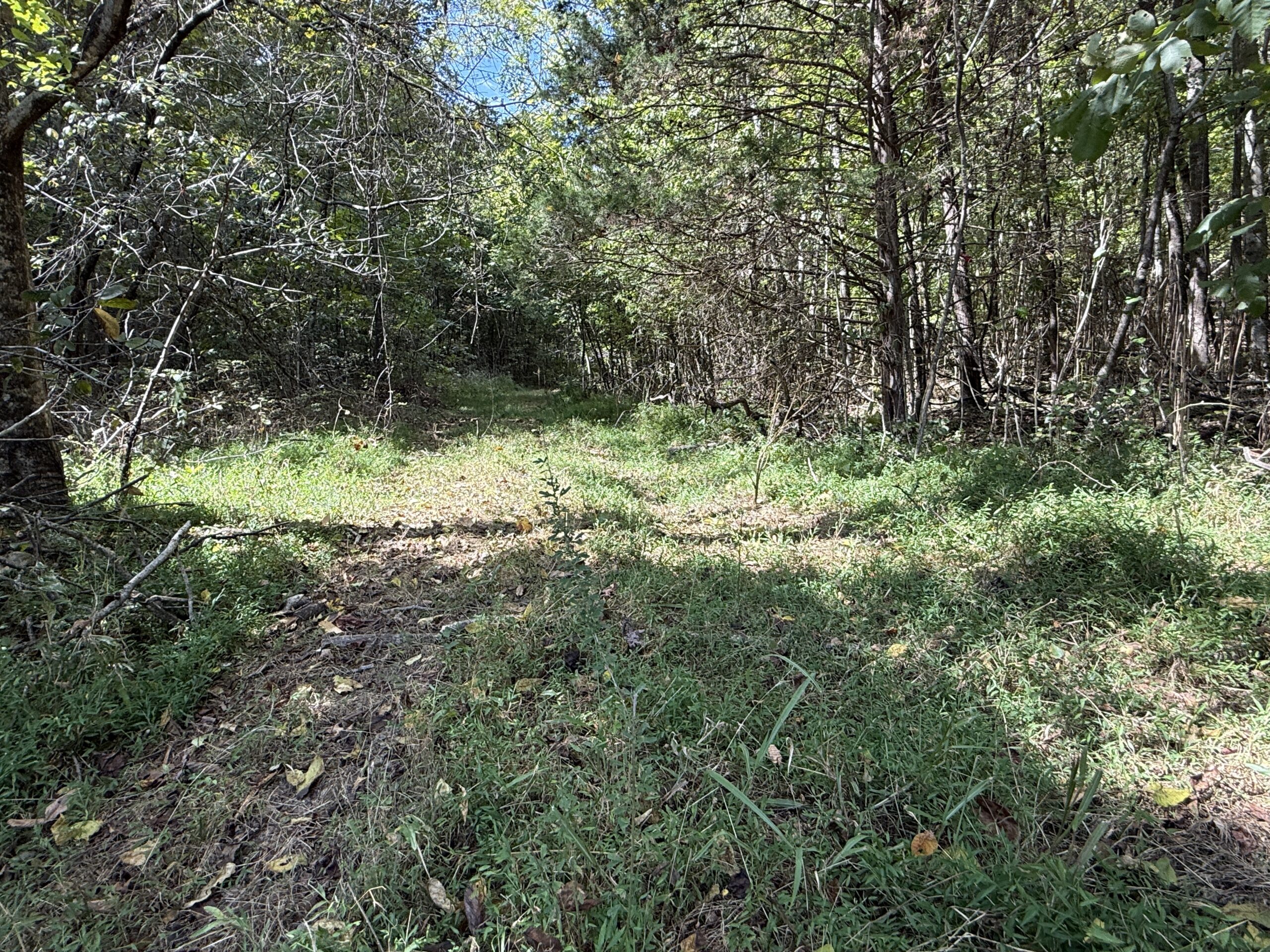 HUNTING AND RECREATIONAL LAND FOR SALE IN ARKANSAS