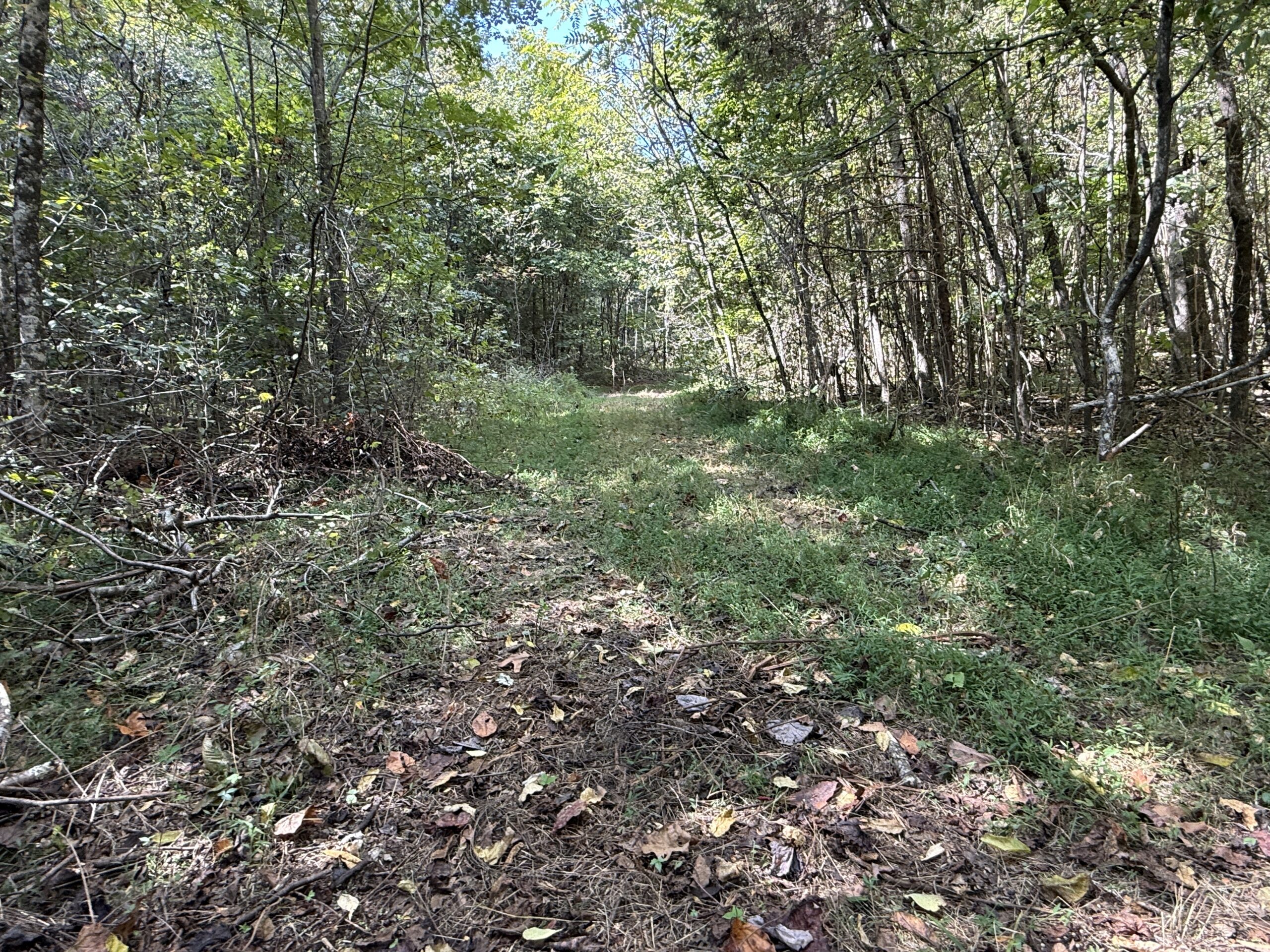 HUNTING AND RECREATIONAL LAND FOR SALE IN ARKANSAS