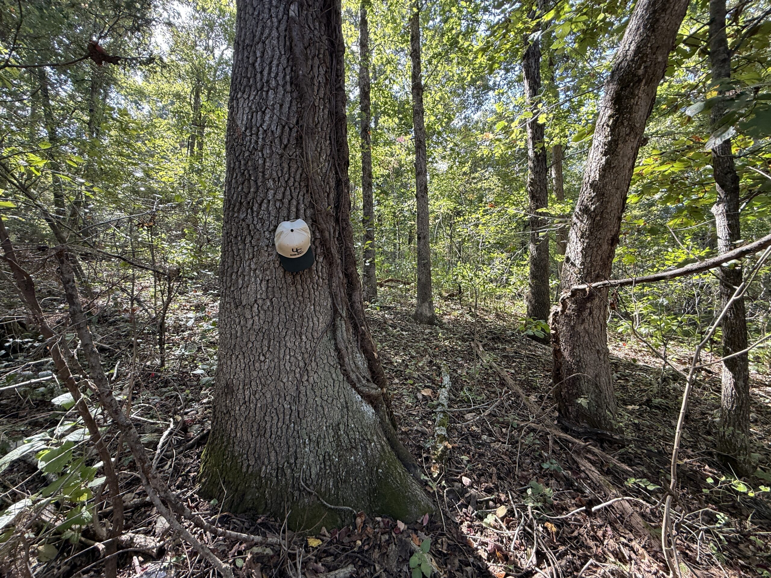 HUNTING AND RECREATIONAL LAND FOR SALE IN ARKANSAS