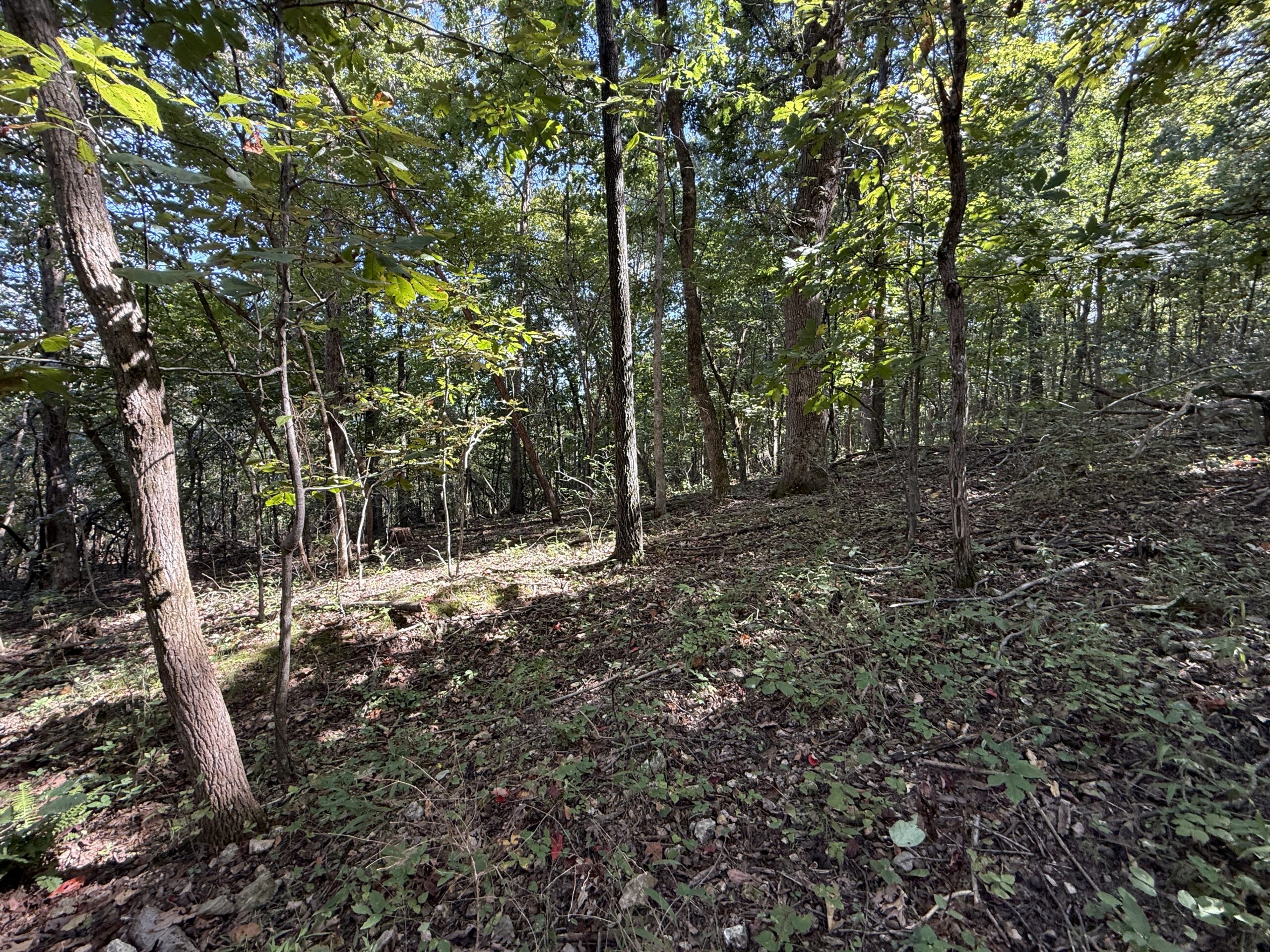 HUNTING AND RECREATIONAL LAND FOR SALE IN ARKANSAS