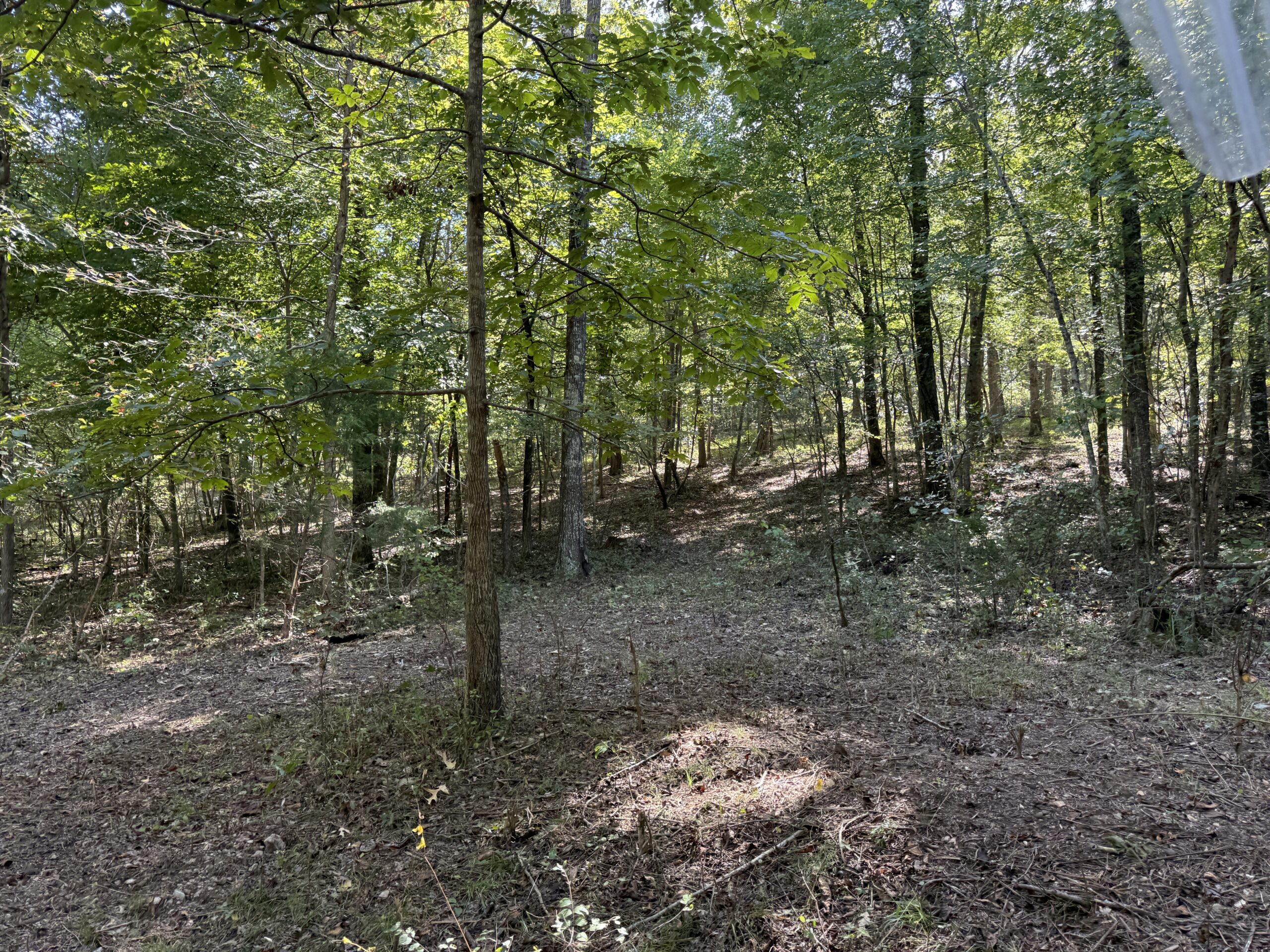 HUNTING AND RECREATIONAL LAND FOR SALE IN ARKANSAS