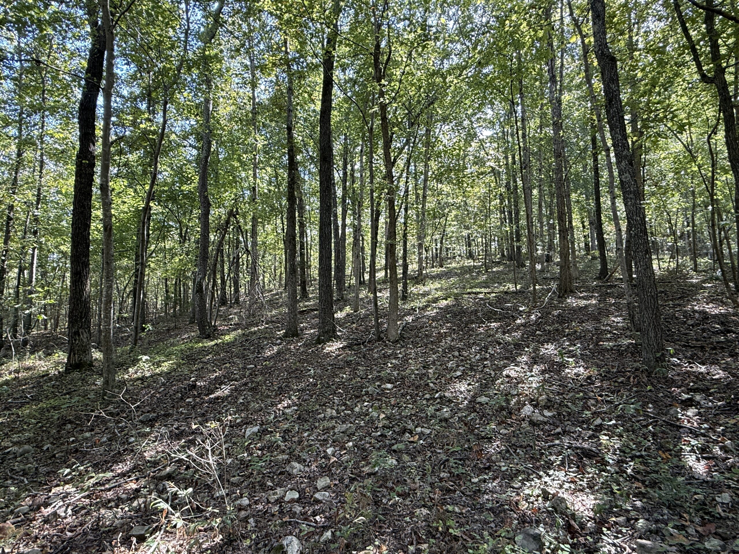 HUNTING AND RECREATIONAL LAND FOR SALE IN ARKANSAS