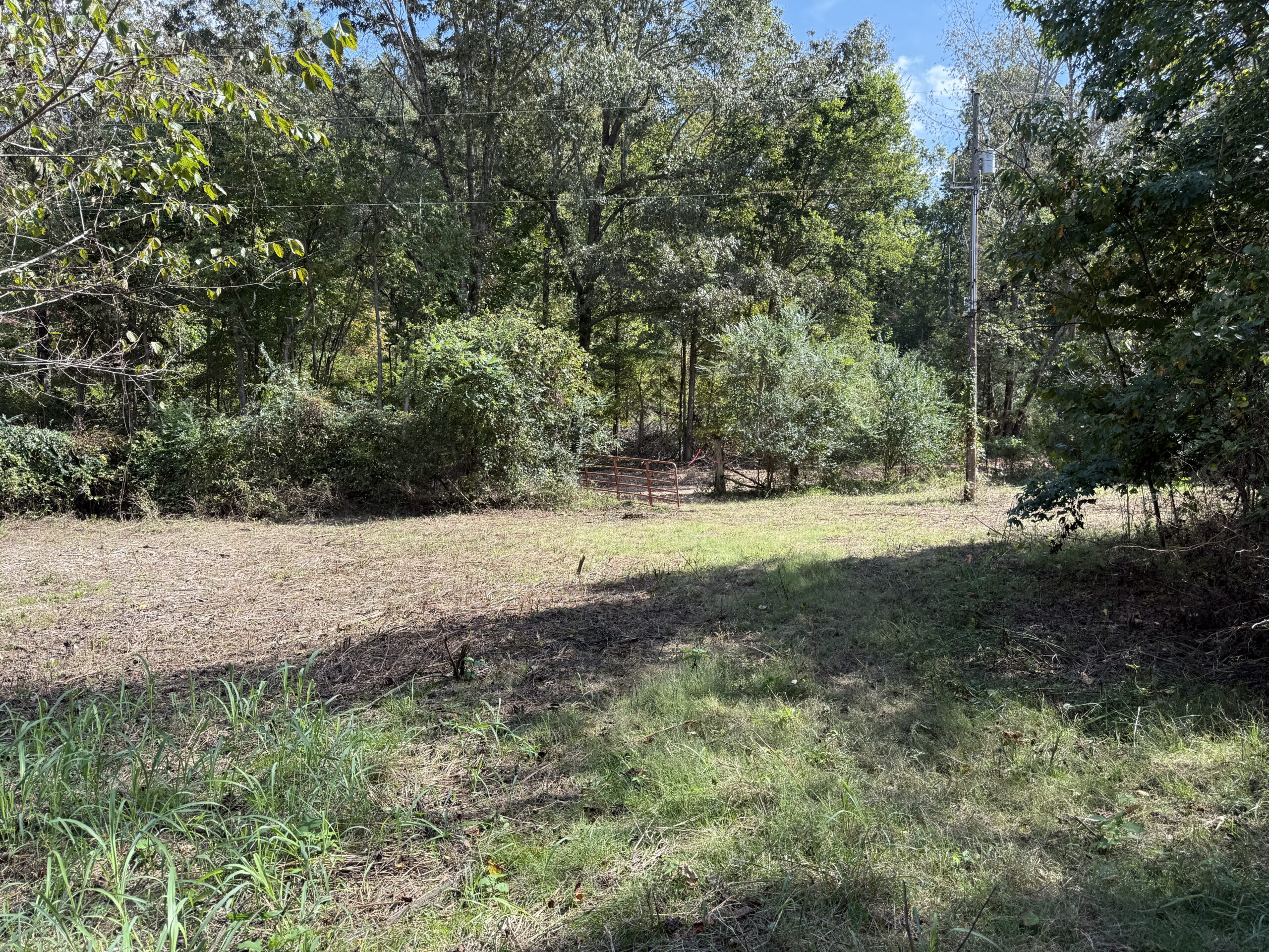 HUNTING AND RECREATIONAL LAND FOR SALE IN ARKANSAS