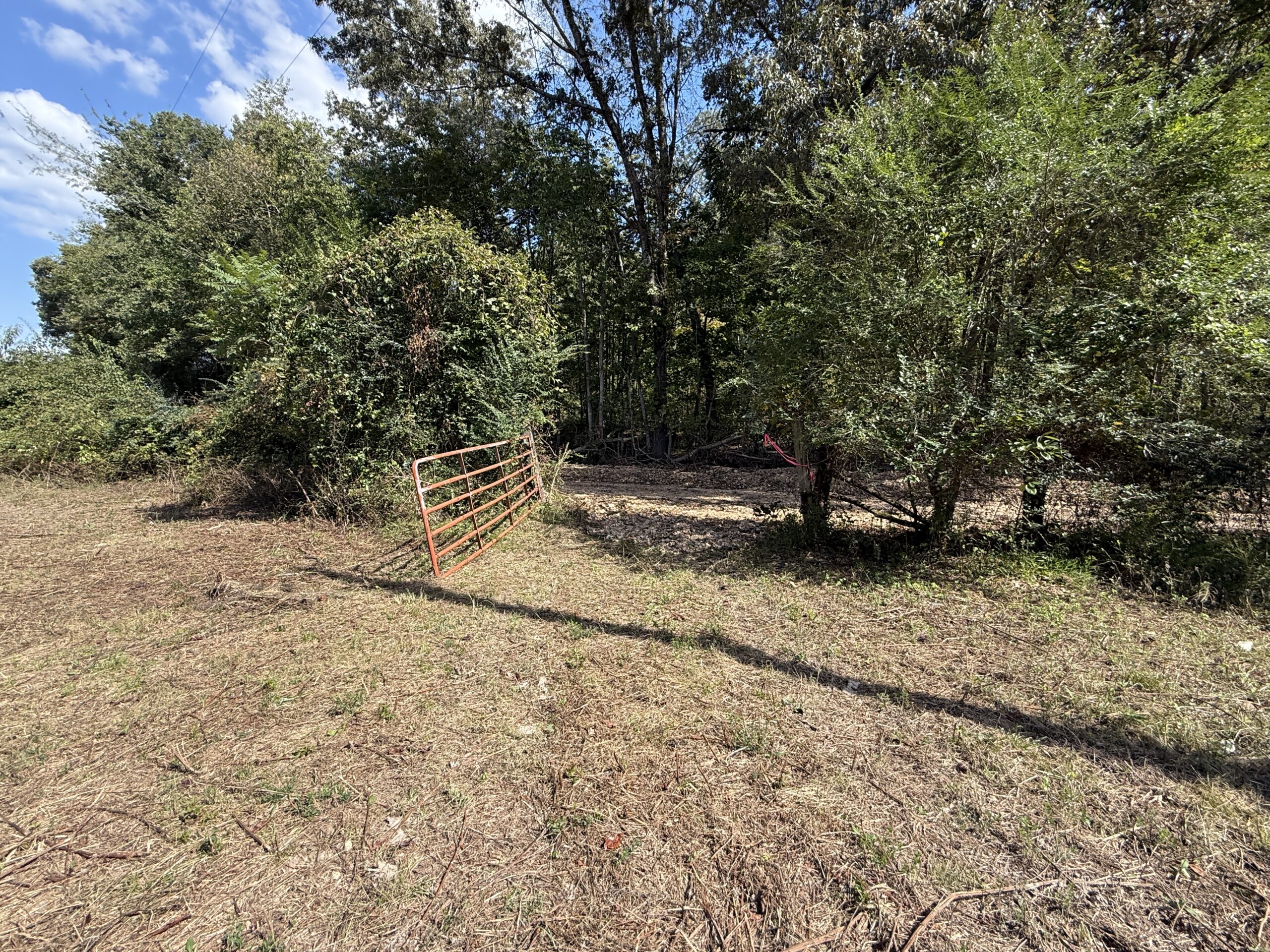 HUNTING AND RECREATIONAL LAND FOR SALE IN ARKANSAS