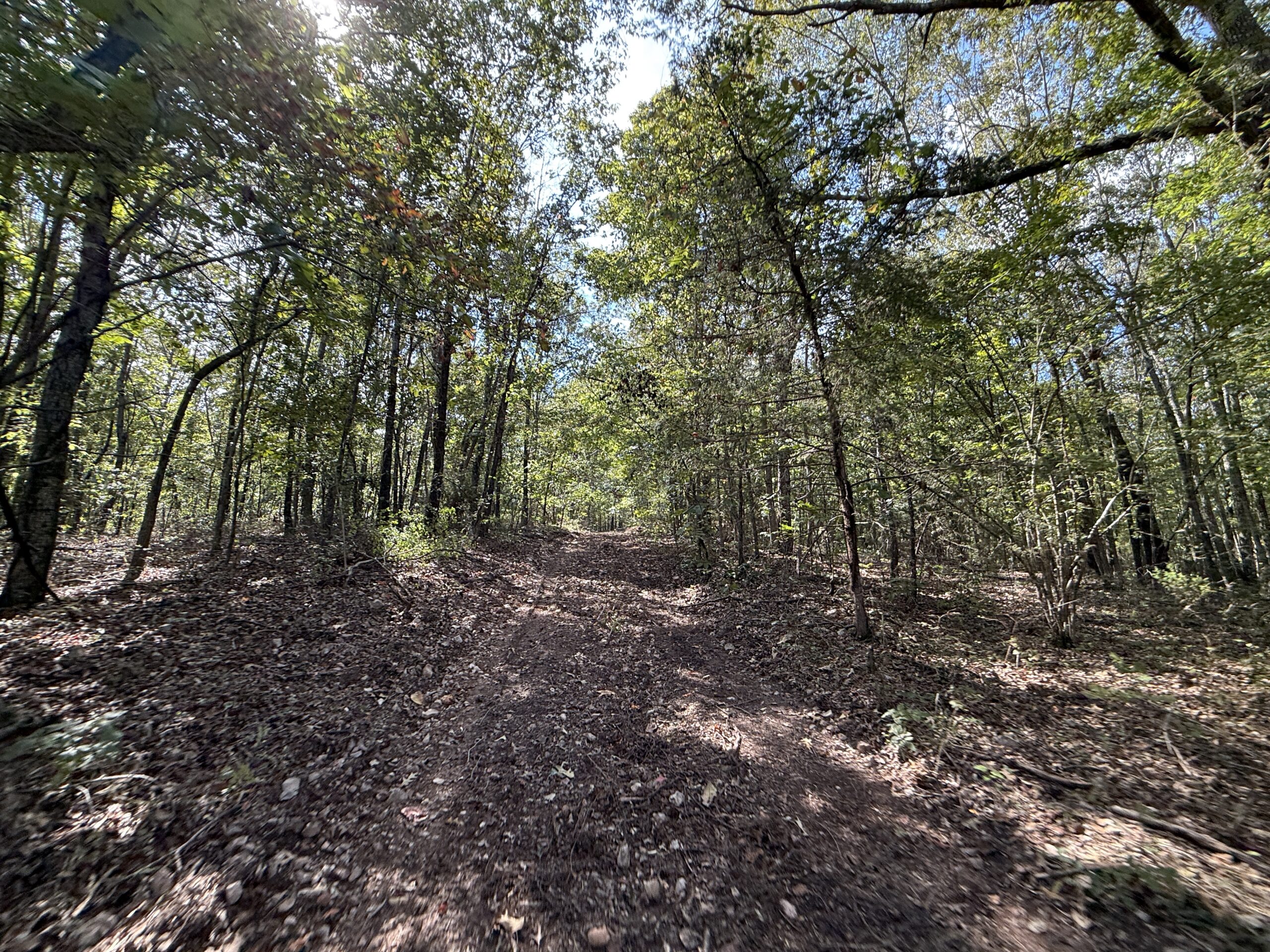 HUNTING AND RECREATIONAL LAND FOR SALE IN ARKANSAS