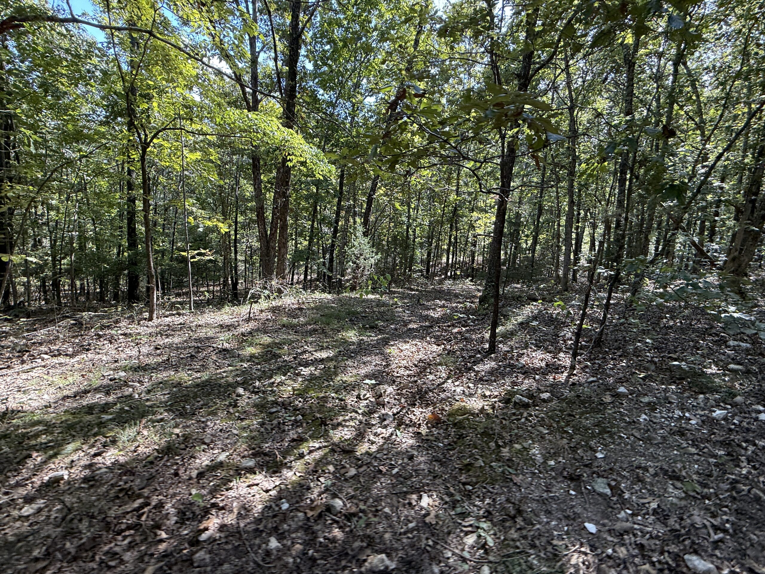 HUNTING AND RECREATIONAL LAND FOR SALE IN ARKANSAS