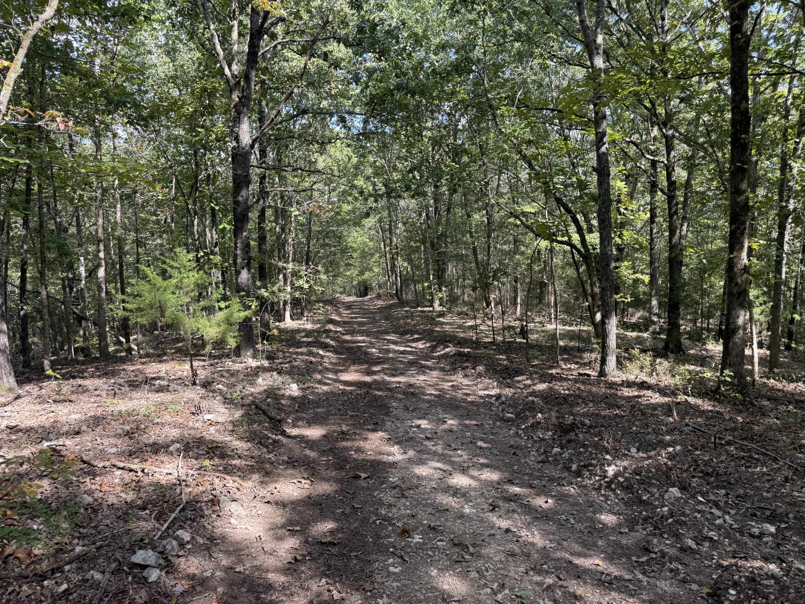 HUNTING AND RECREATIONAL LAND FOR SALE IN ARKANSAS