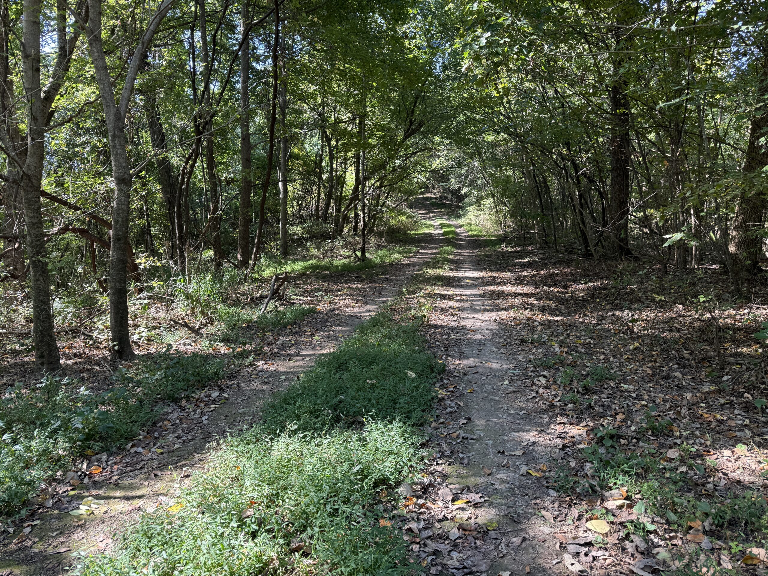 FOREST LAND AND OFF GRID CABIN FOR SALE IN OZARK MOUNTAINS