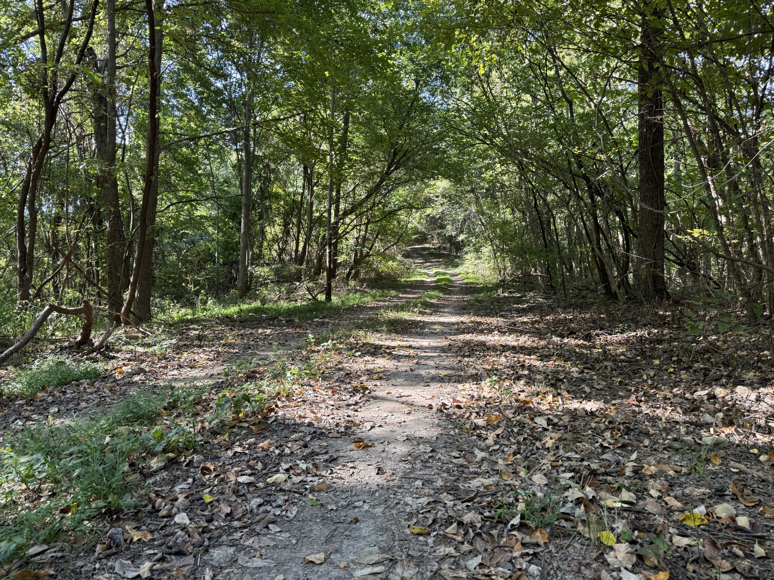 FOREST LAND AND OFF GRID CABIN FOR SALE IN OZARK MOUNTAINS
