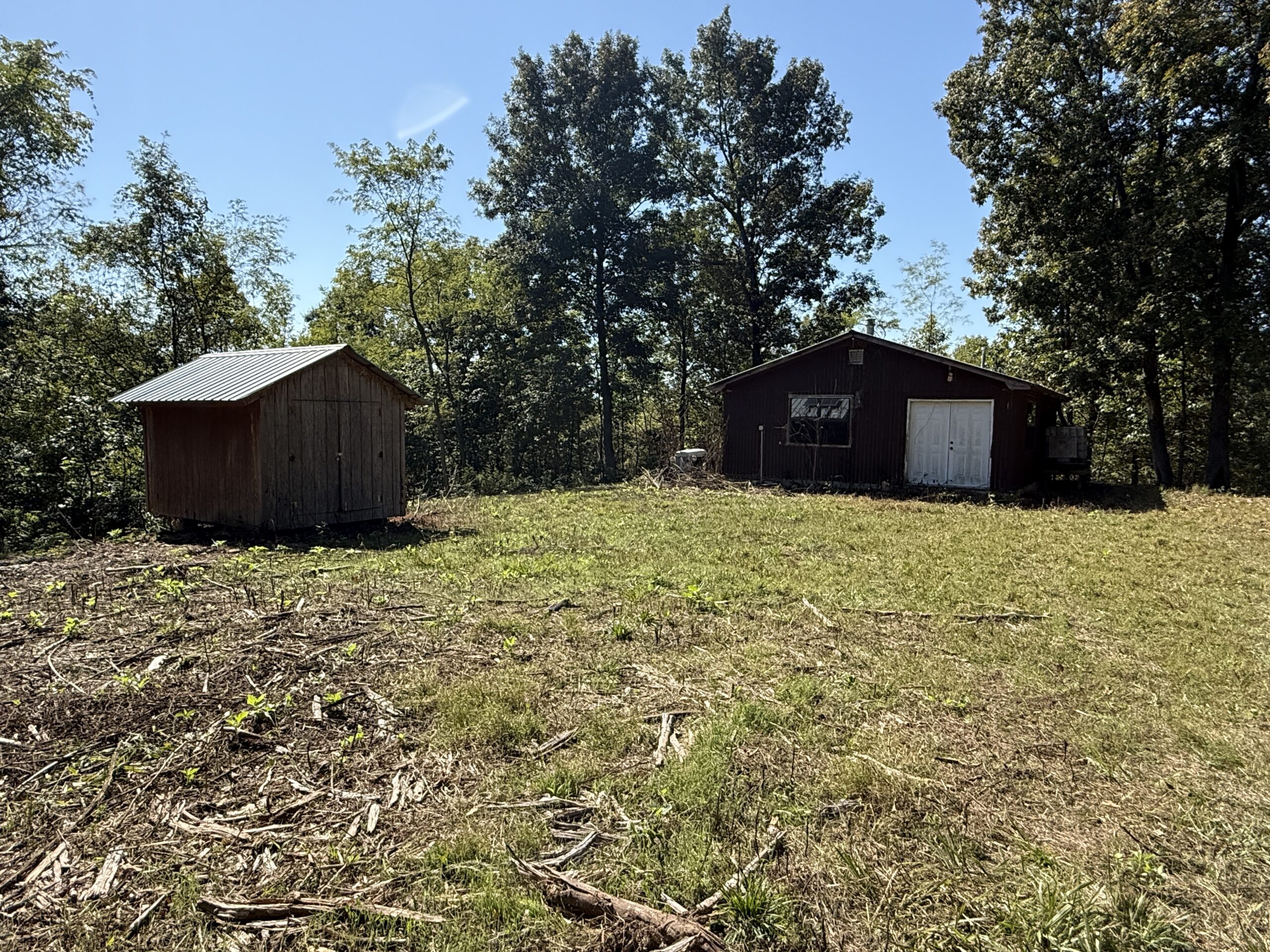 FOREST LAND AND OFF GRID CABIN FOR SALE IN OZARK MOUNTAINS