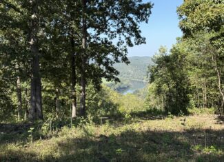 FOREST LAND AND OFF GRID CABIN FOR SALE IN OZARK MOUNTAINS