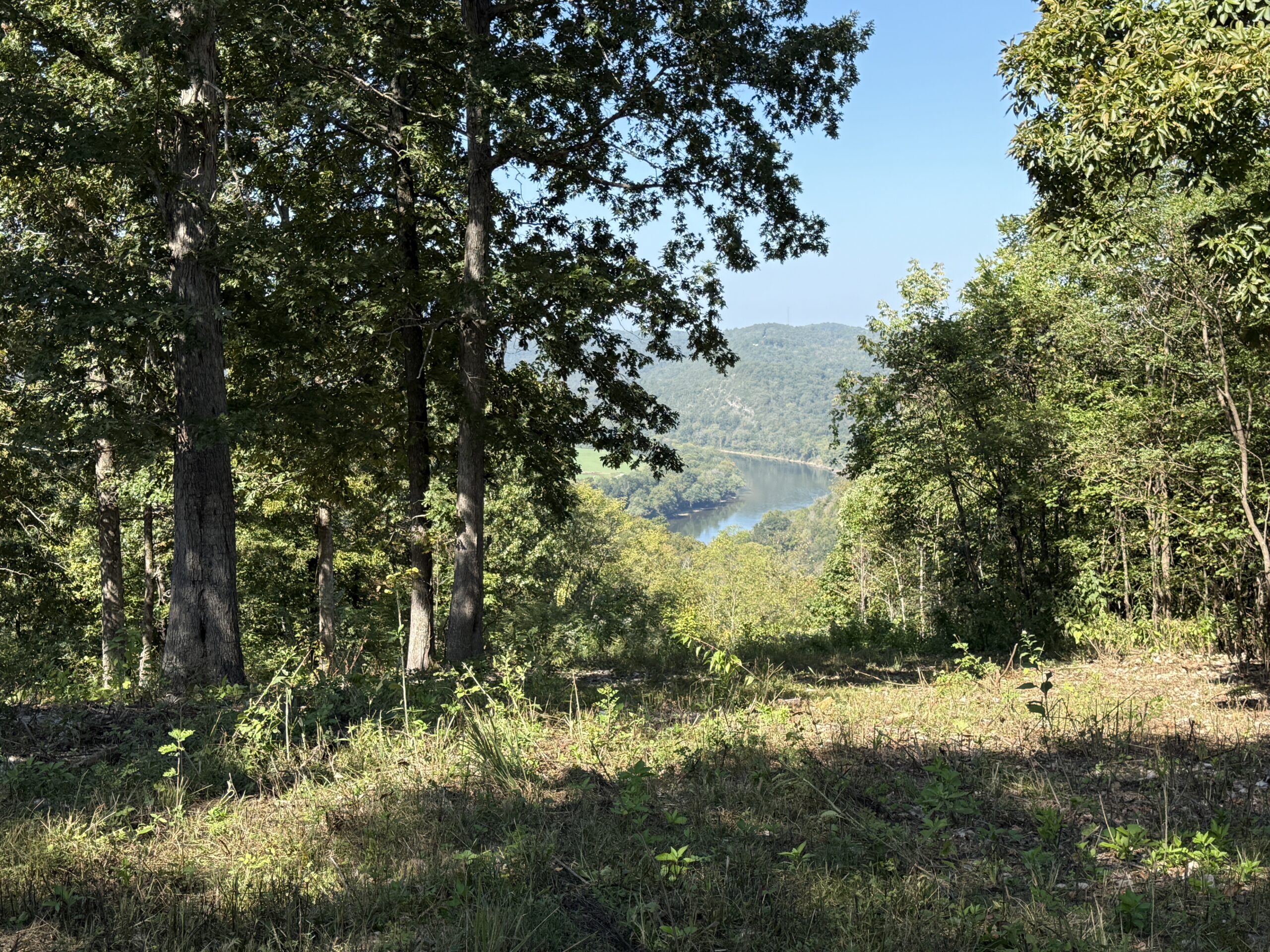 FOREST LAND AND OFF GRID CABIN FOR SALE IN OZARK MOUNTAINS