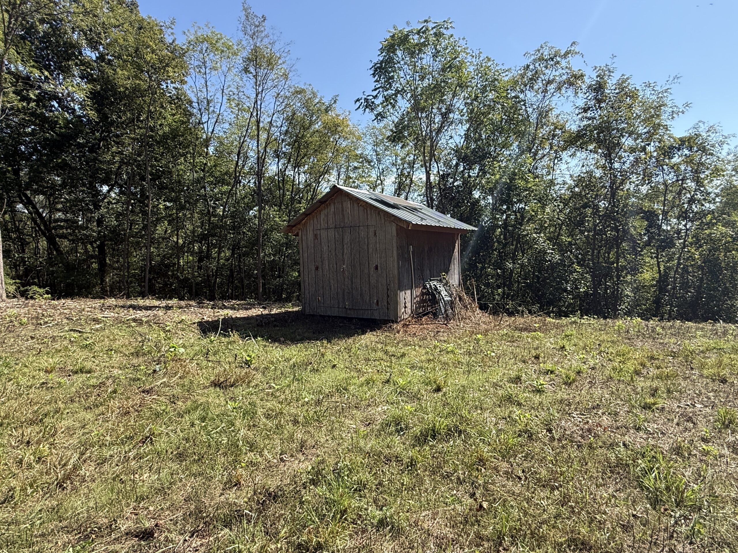 FOREST LAND AND OFF GRID CABIN FOR SALE IN OZARK MOUNTAINS