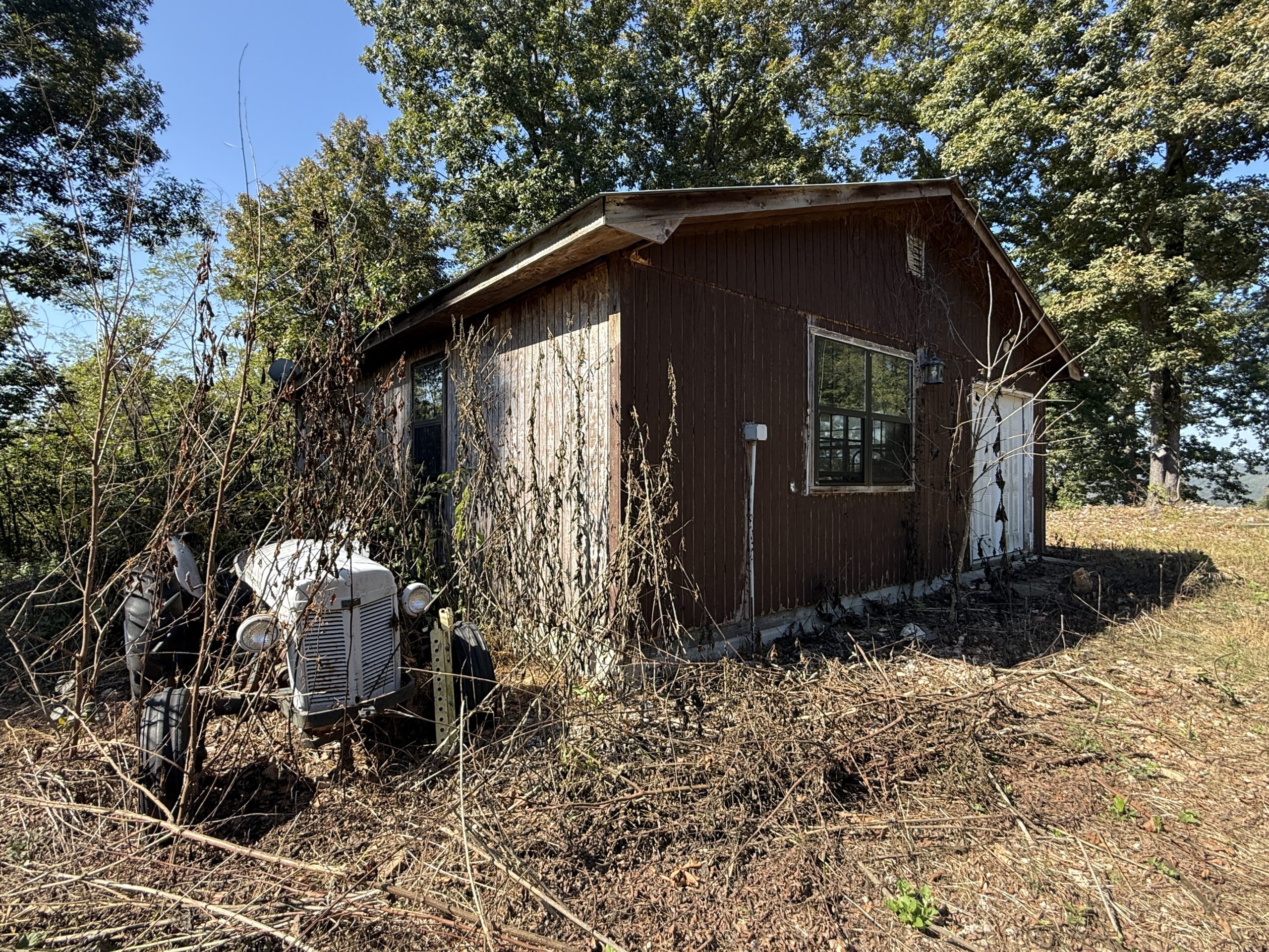 FOREST LAND AND OFF GRID CABIN FOR SALE IN OZARK MOUNTAINS