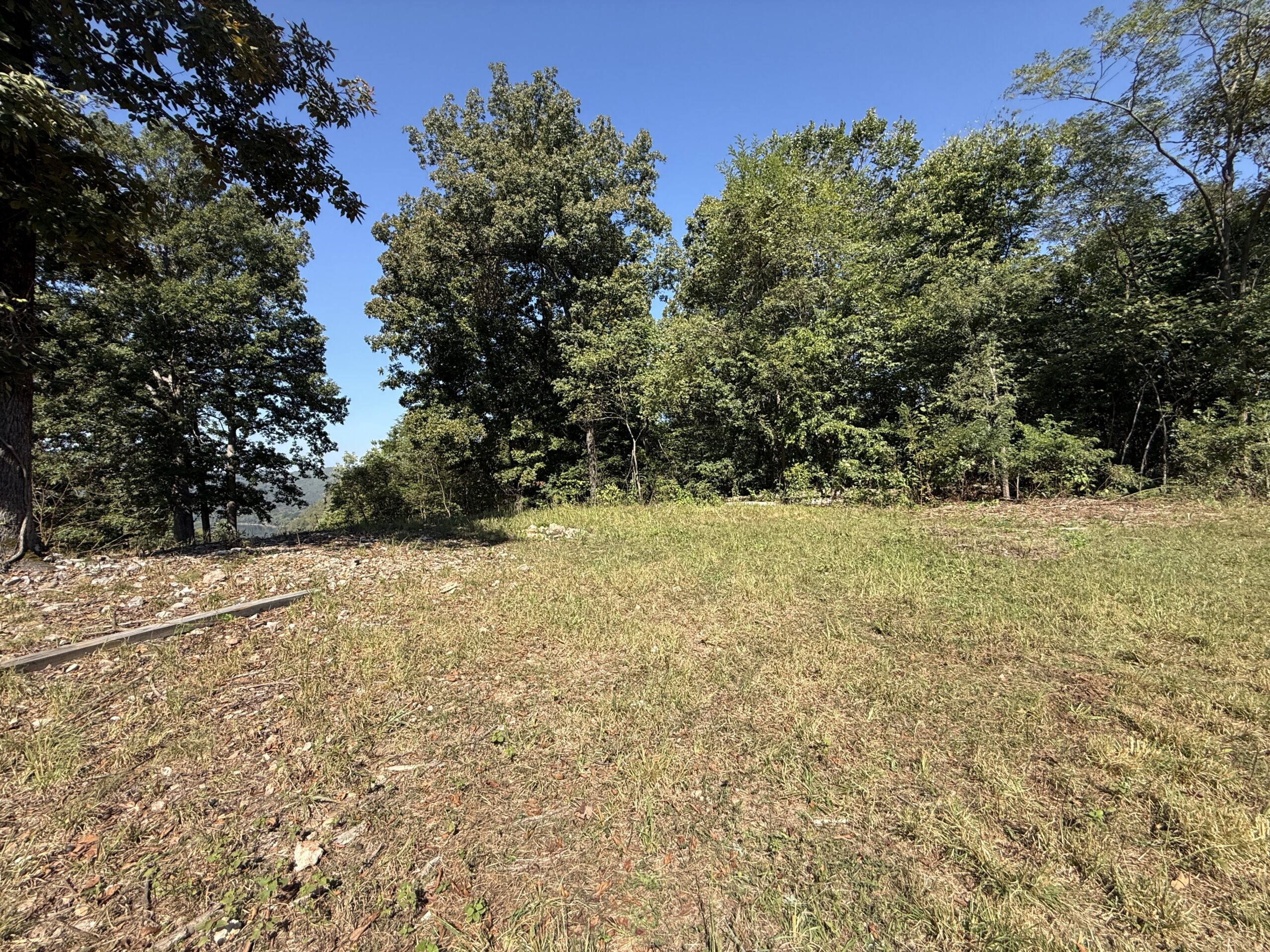 FOREST LAND AND OFF GRID CABIN FOR SALE IN OZARK MOUNTAINS