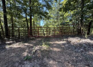 FOREST LAND AND OFF GRID CABIN FOR SALE IN OZARK MOUNTAINS
