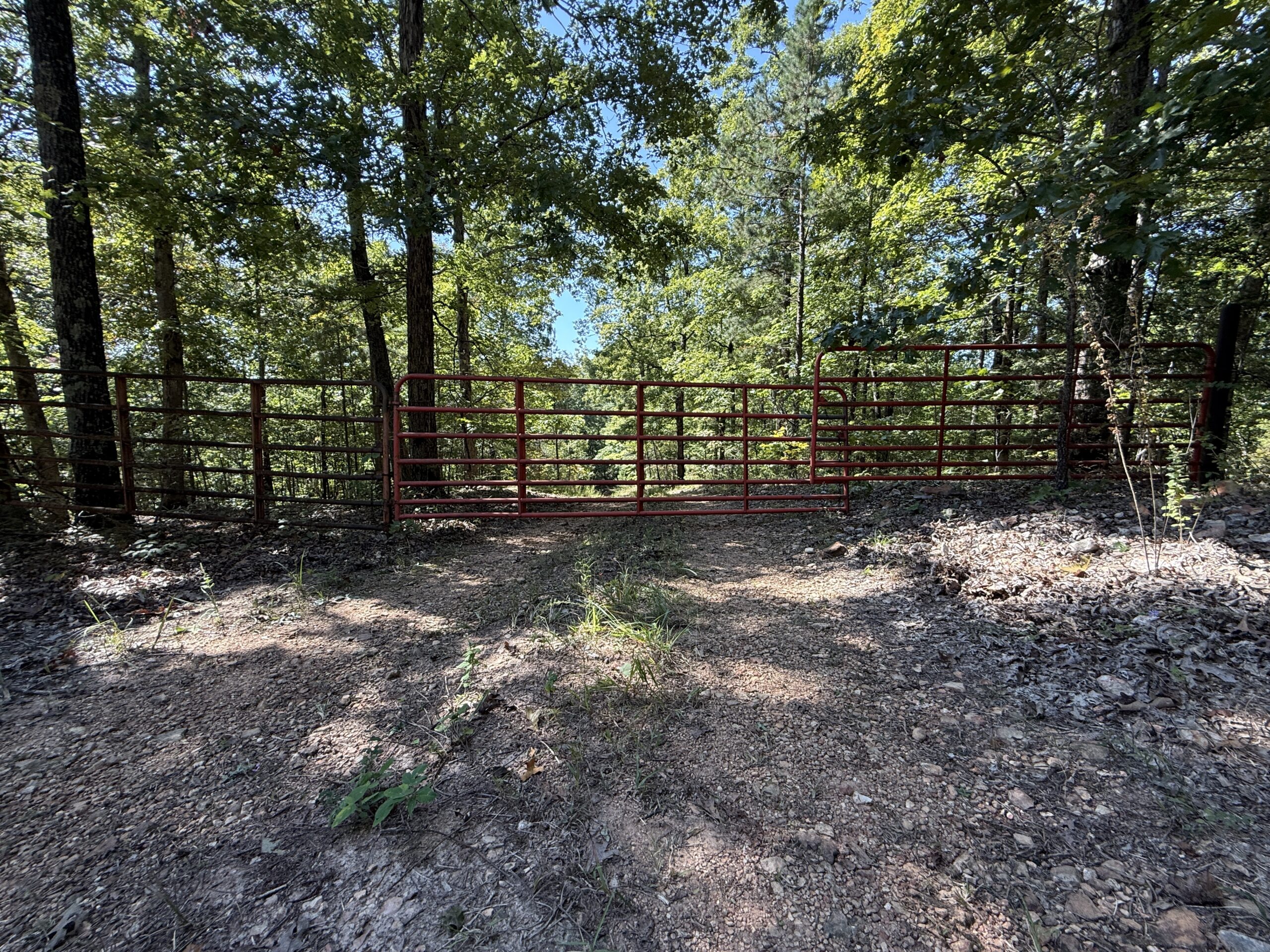 FOREST LAND AND OFF GRID CABIN FOR SALE IN OZARK MOUNTAINS