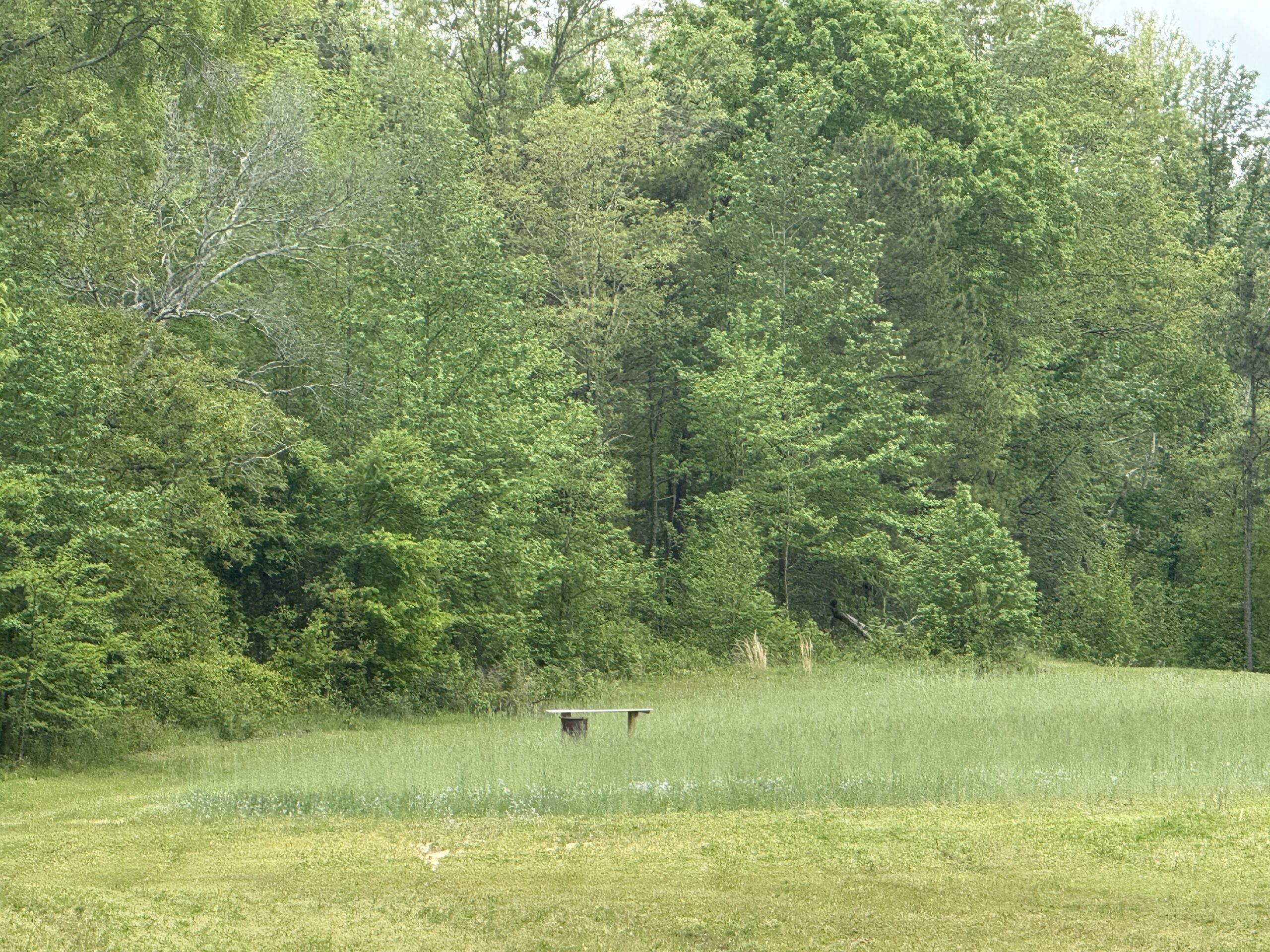 COUNTRY HOME AND HUNTING RANCH FOR SALE IN ARKANSAS