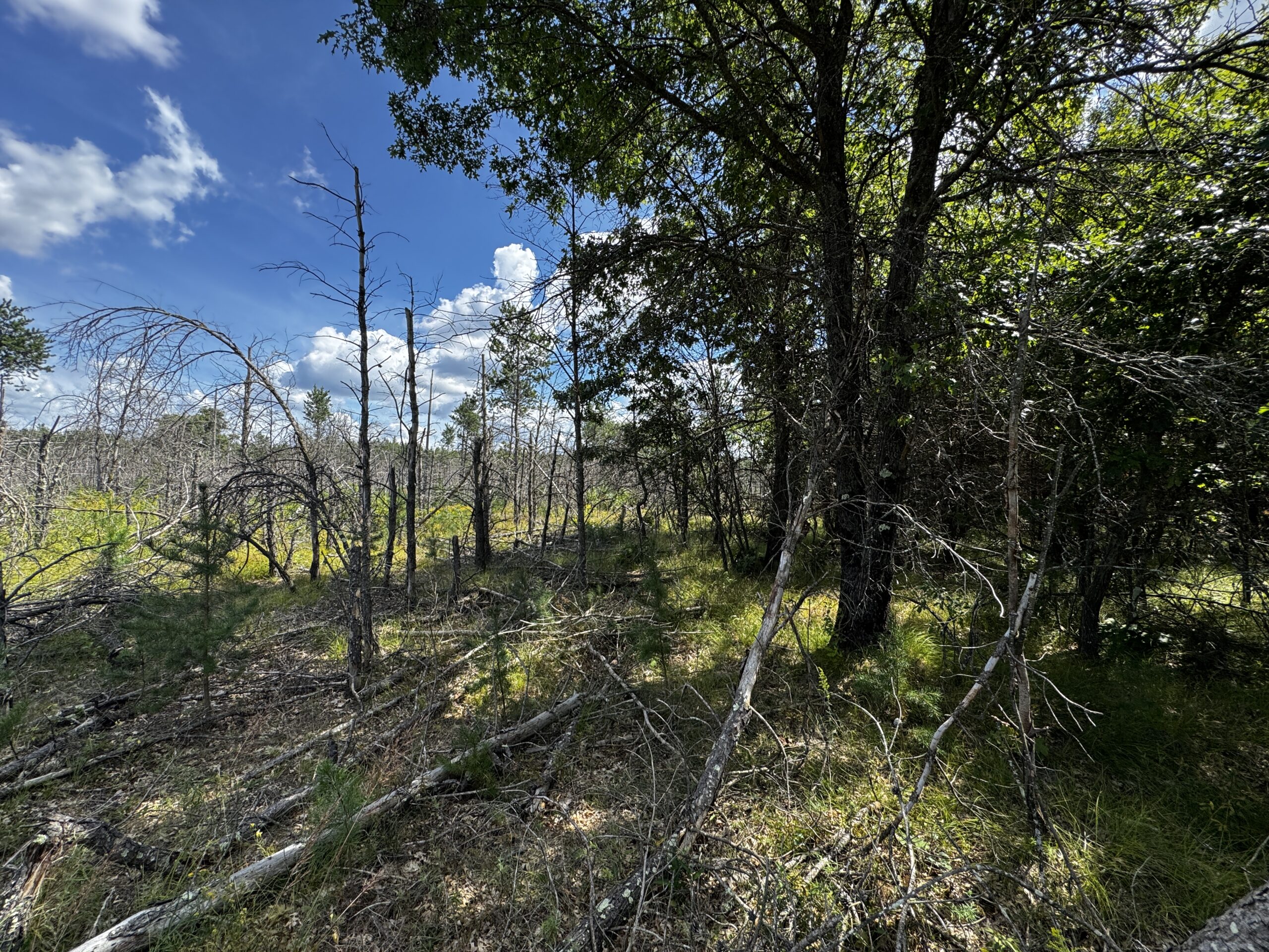 40-acre corner parcel in the Town of Big Flats, Adams County