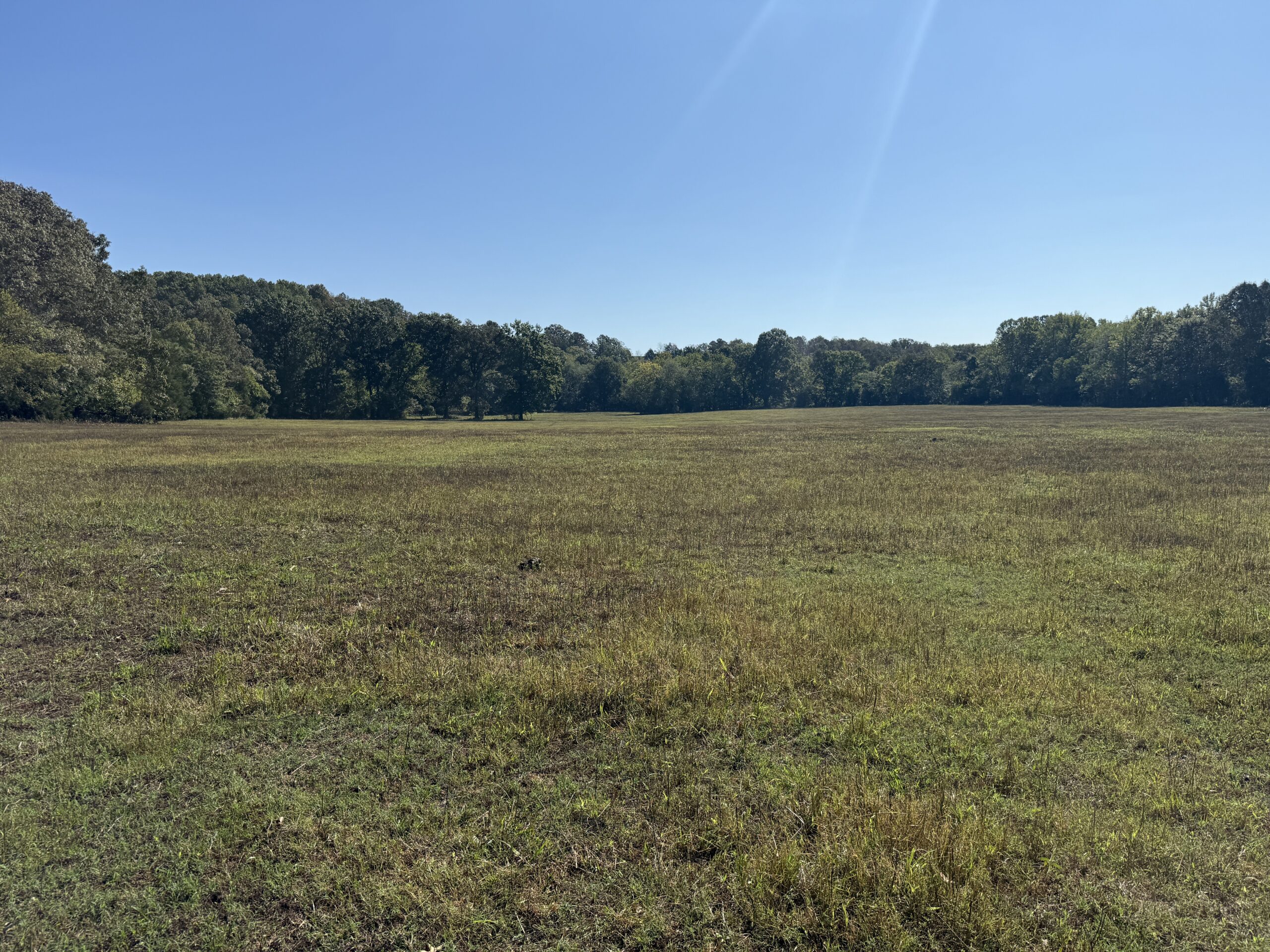HOME AND WATERFRONT ACREAGE FOR SALE IN ARKANSAS