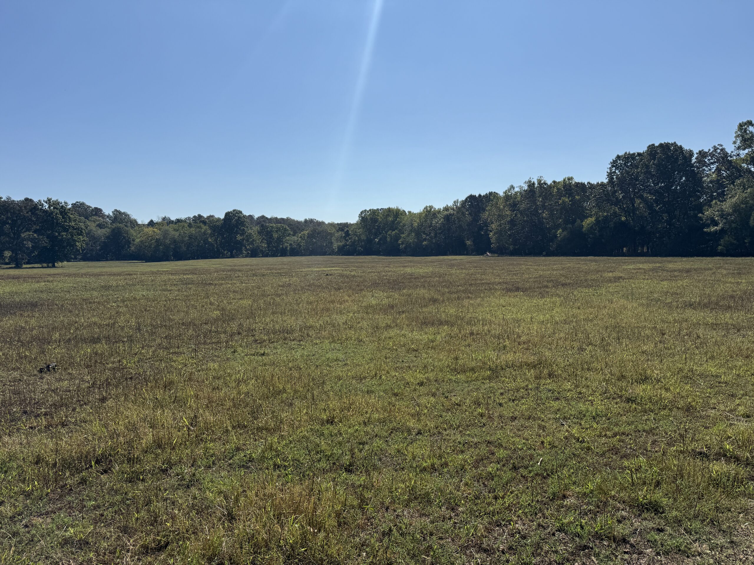 HOME AND WATERFRONT ACREAGE FOR SALE IN ARKANSAS
