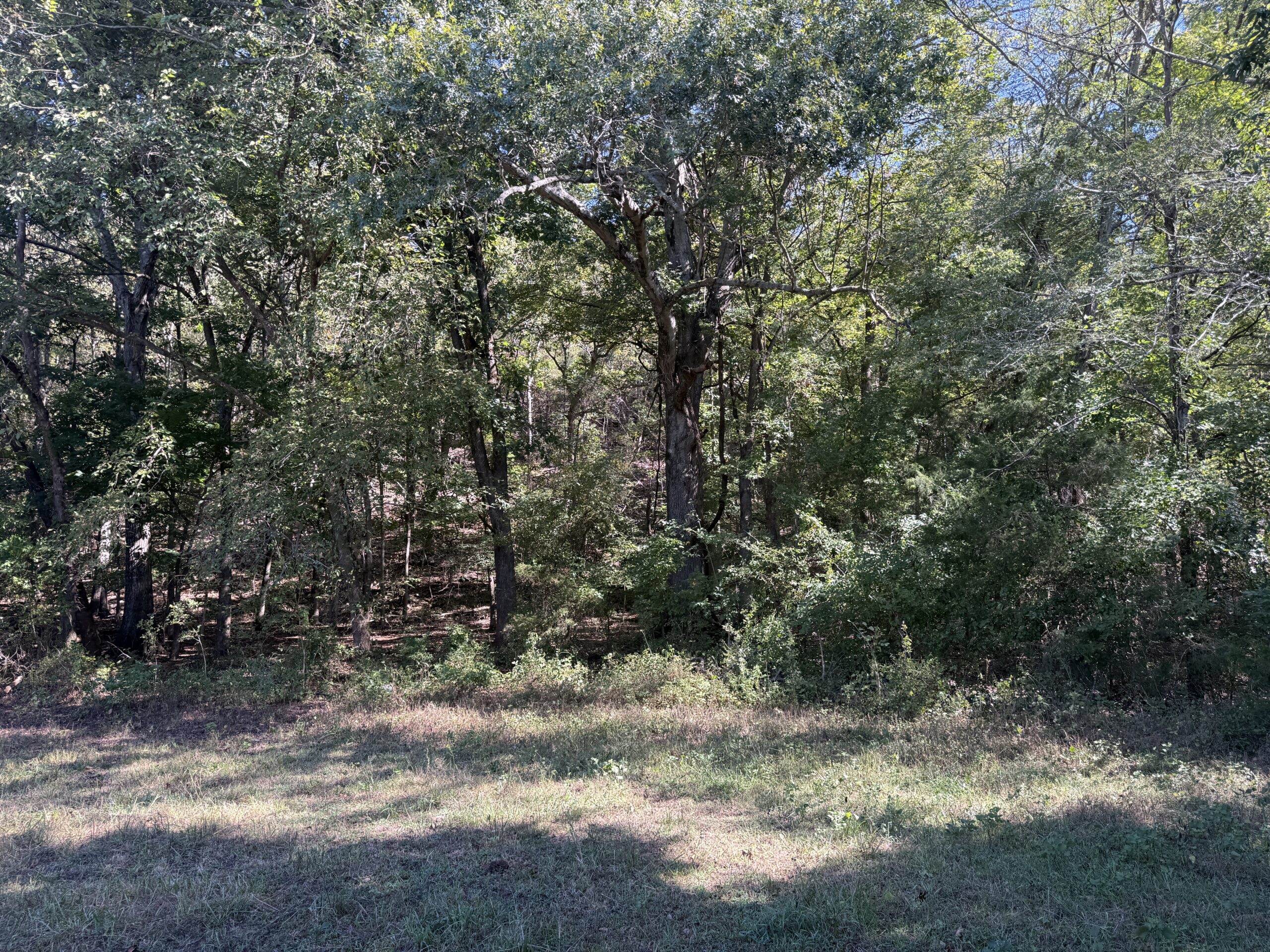 HOME AND WATERFRONT ACREAGE FOR SALE IN ARKANSAS