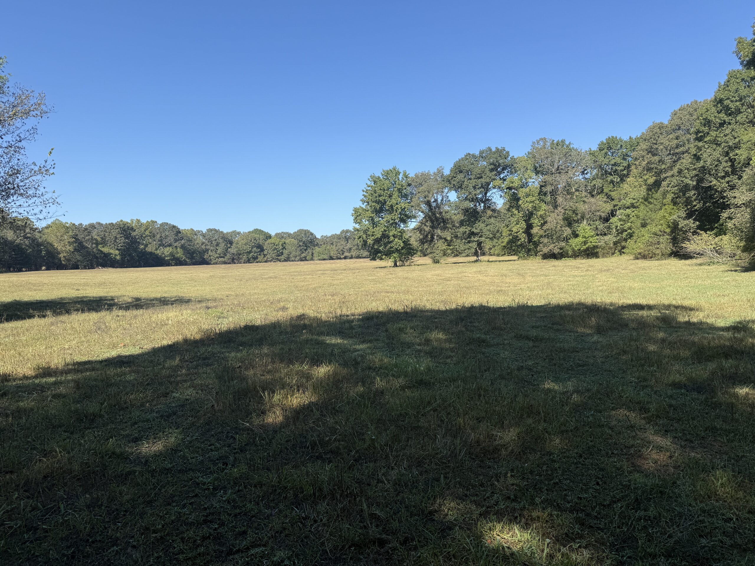HOME AND WATERFRONT ACREAGE FOR SALE IN ARKANSAS