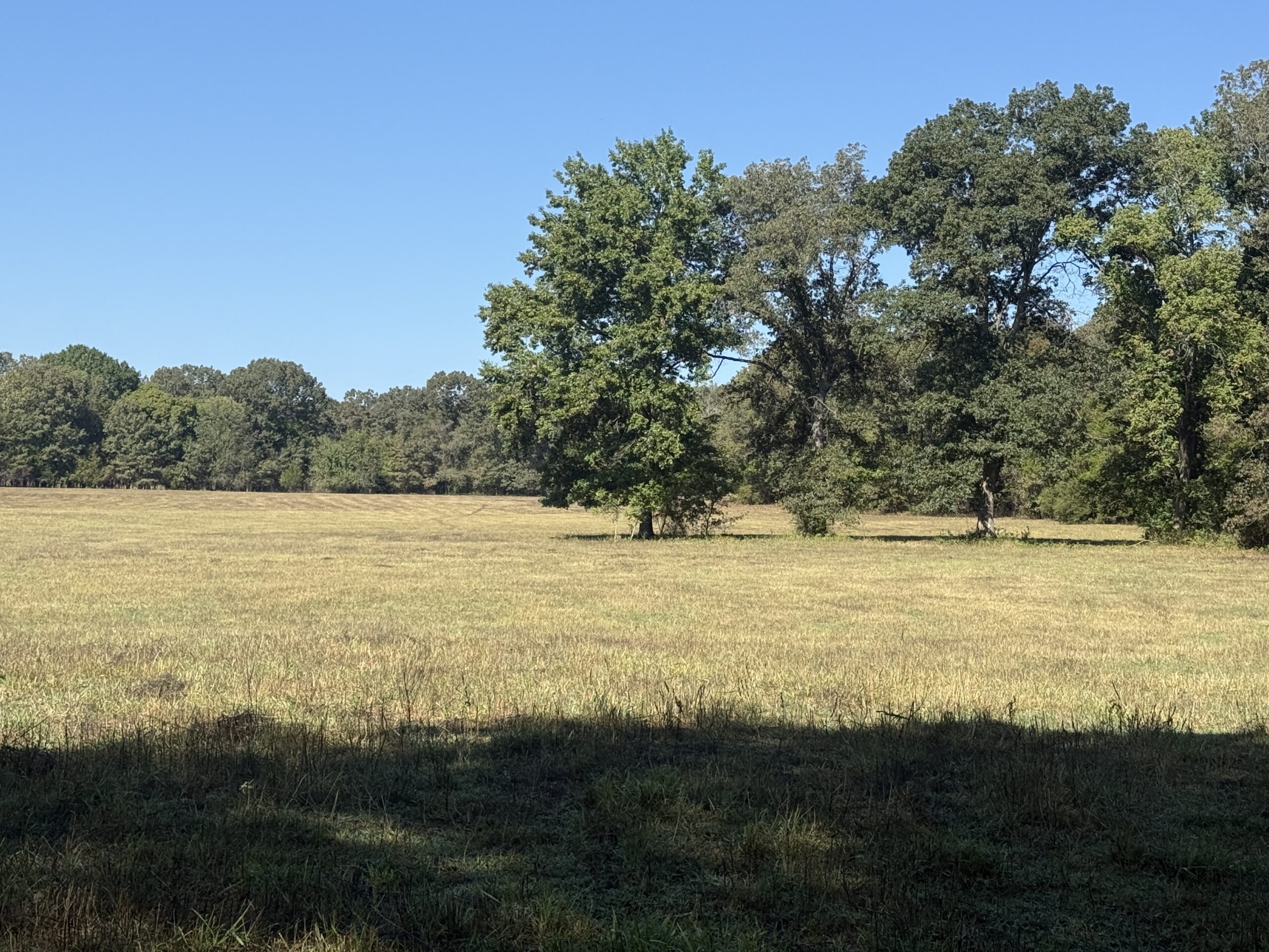 HOME AND WATERFRONT ACREAGE FOR SALE IN ARKANSAS