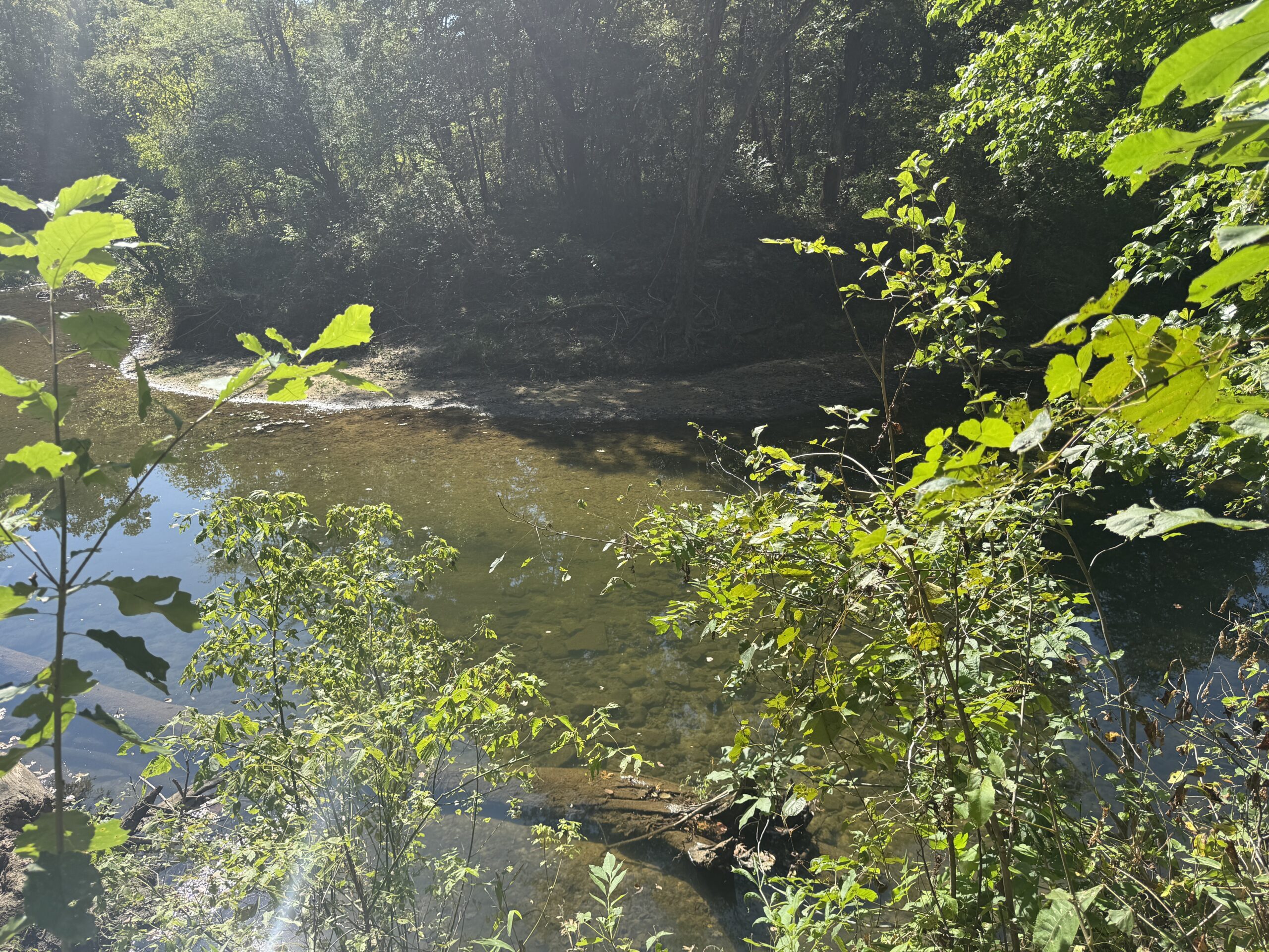 HOME AND WATERFRONT ACREAGE FOR SALE IN ARKANSAS