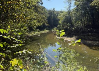 HOME AND WATERFRONT ACREAGE FOR SALE IN ARKANSAS