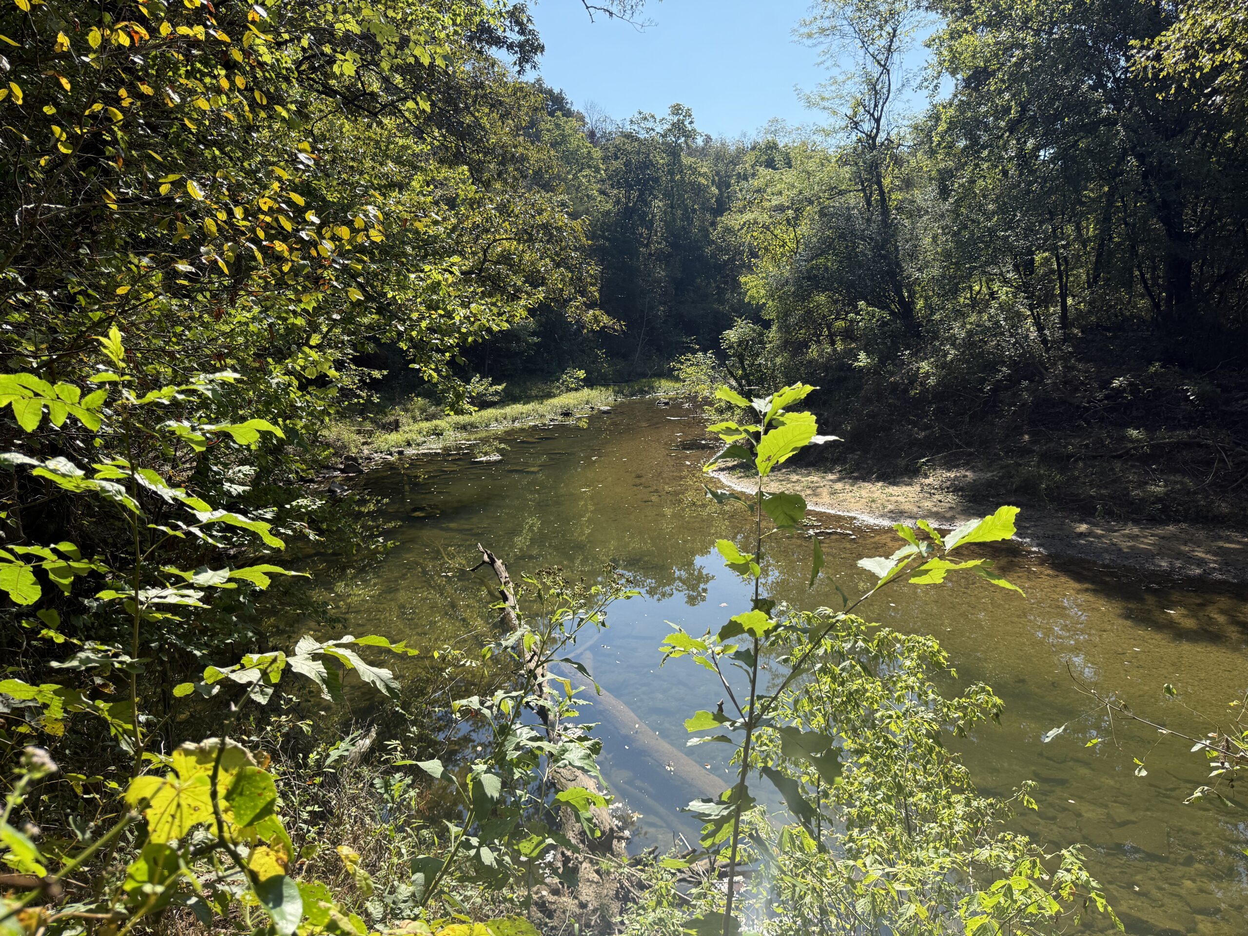 HOME AND WATERFRONT ACREAGE FOR SALE IN ARKANSAS