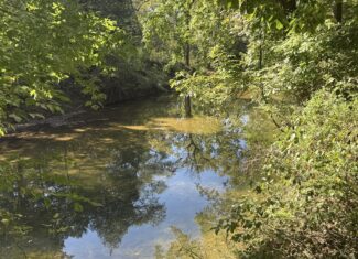 HOME AND WATERFRONT ACREAGE FOR SALE IN ARKANSAS