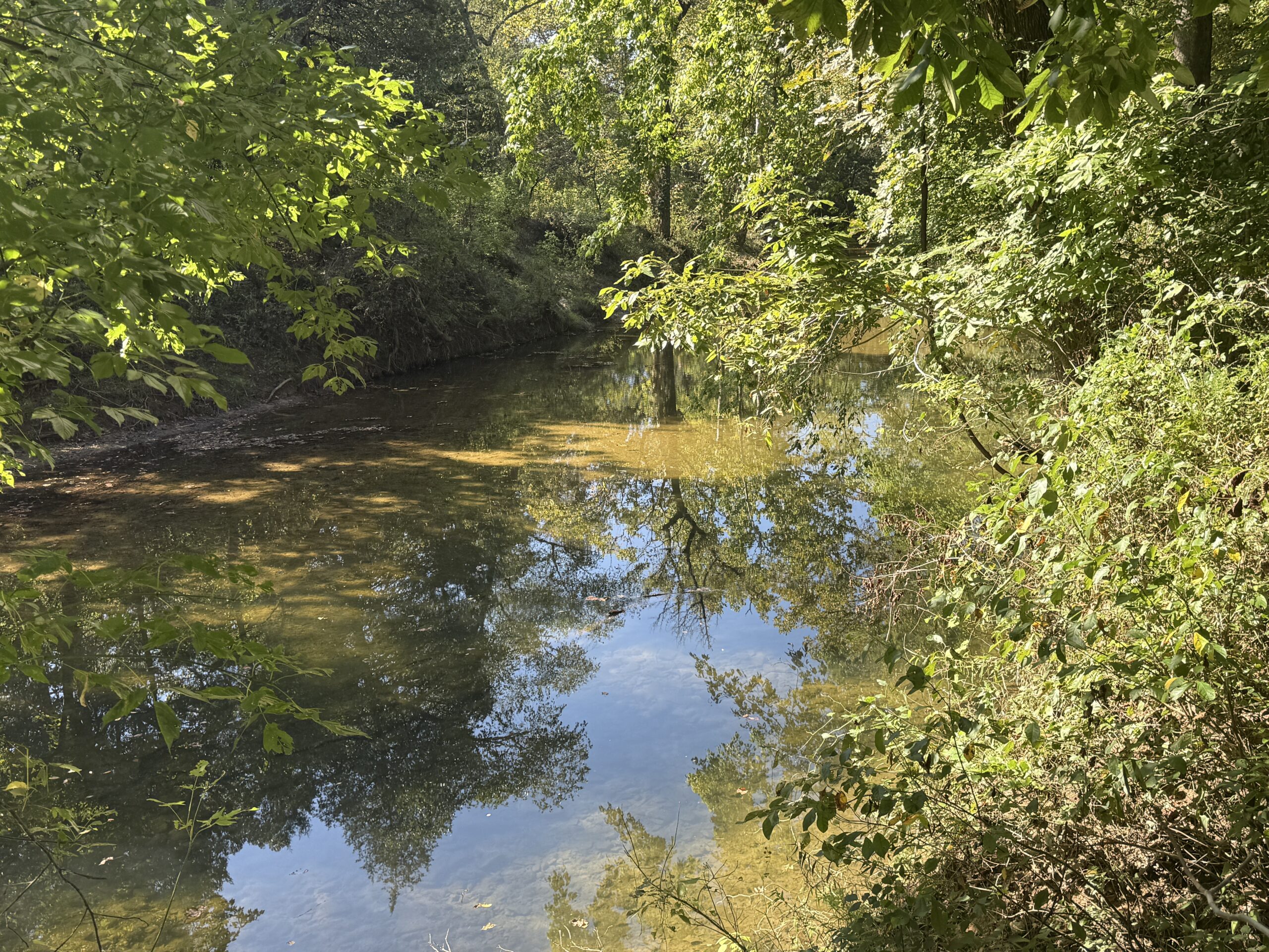 HOME AND WATERFRONT ACREAGE FOR SALE IN ARKANSAS