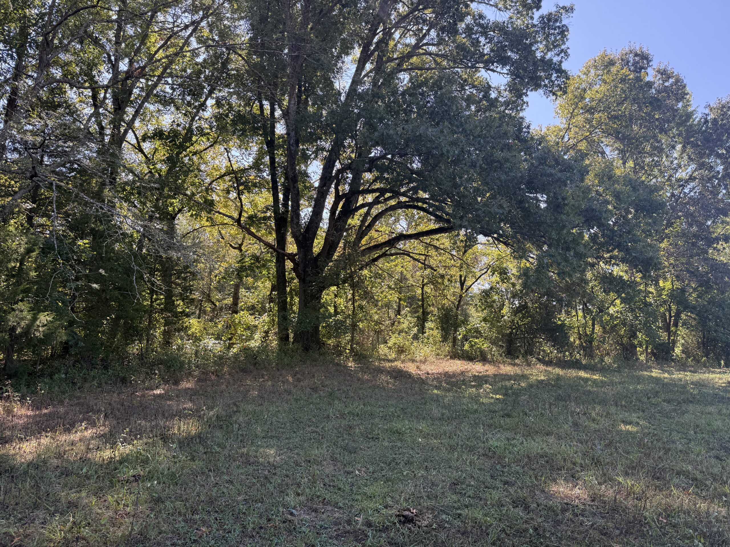 HOME AND WATERFRONT ACREAGE FOR SALE IN ARKANSAS