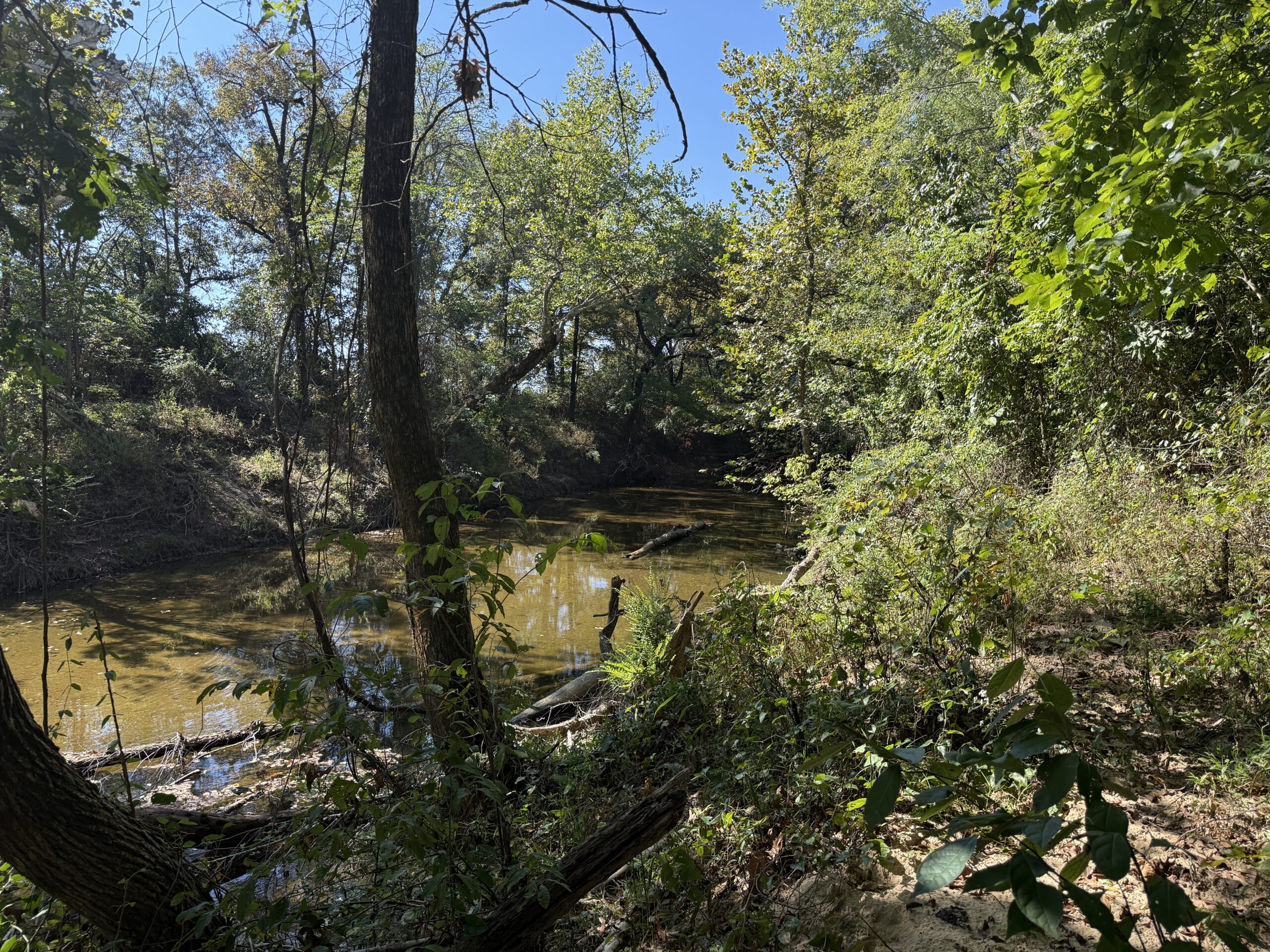 HOME AND WATERFRONT ACREAGE FOR SALE IN ARKANSAS