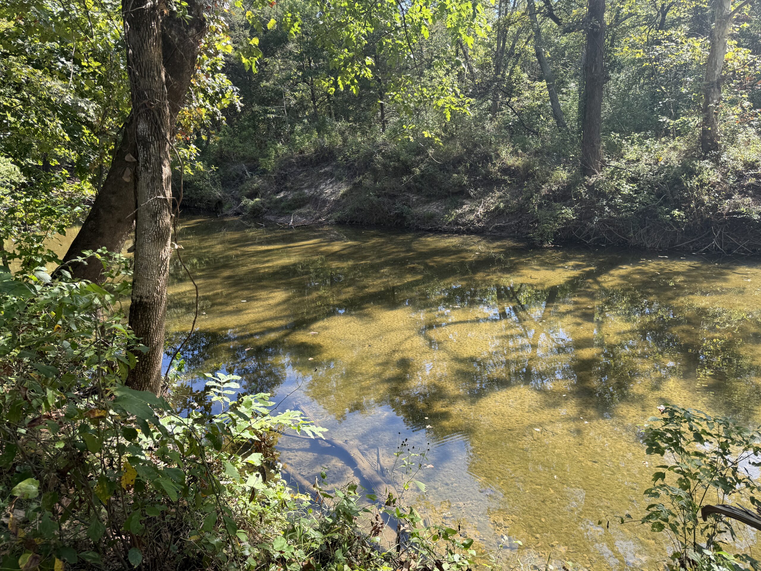 HOME AND WATERFRONT ACREAGE FOR SALE IN ARKANSAS