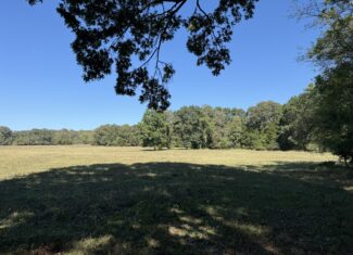 HOME AND WATERFRONT ACREAGE FOR SALE IN ARKANSAS